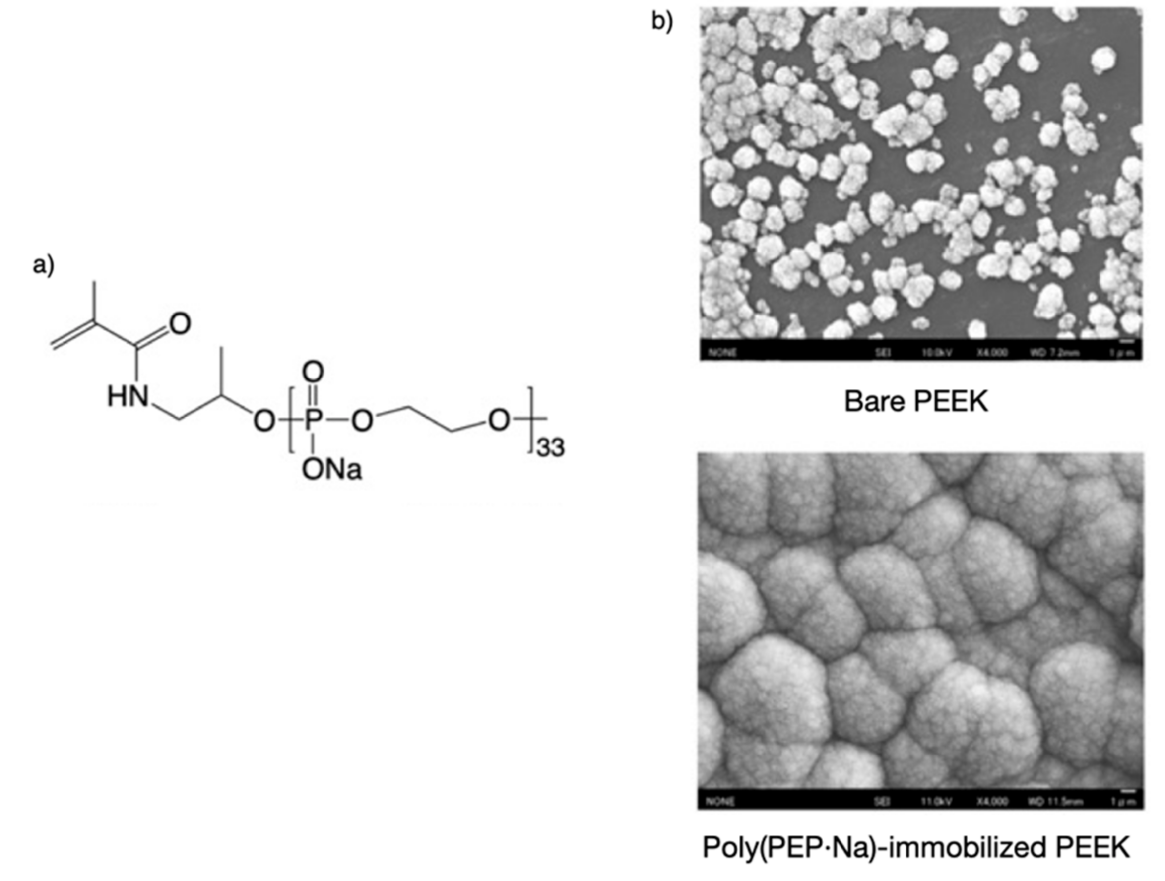 Molecules 25 00758 g004