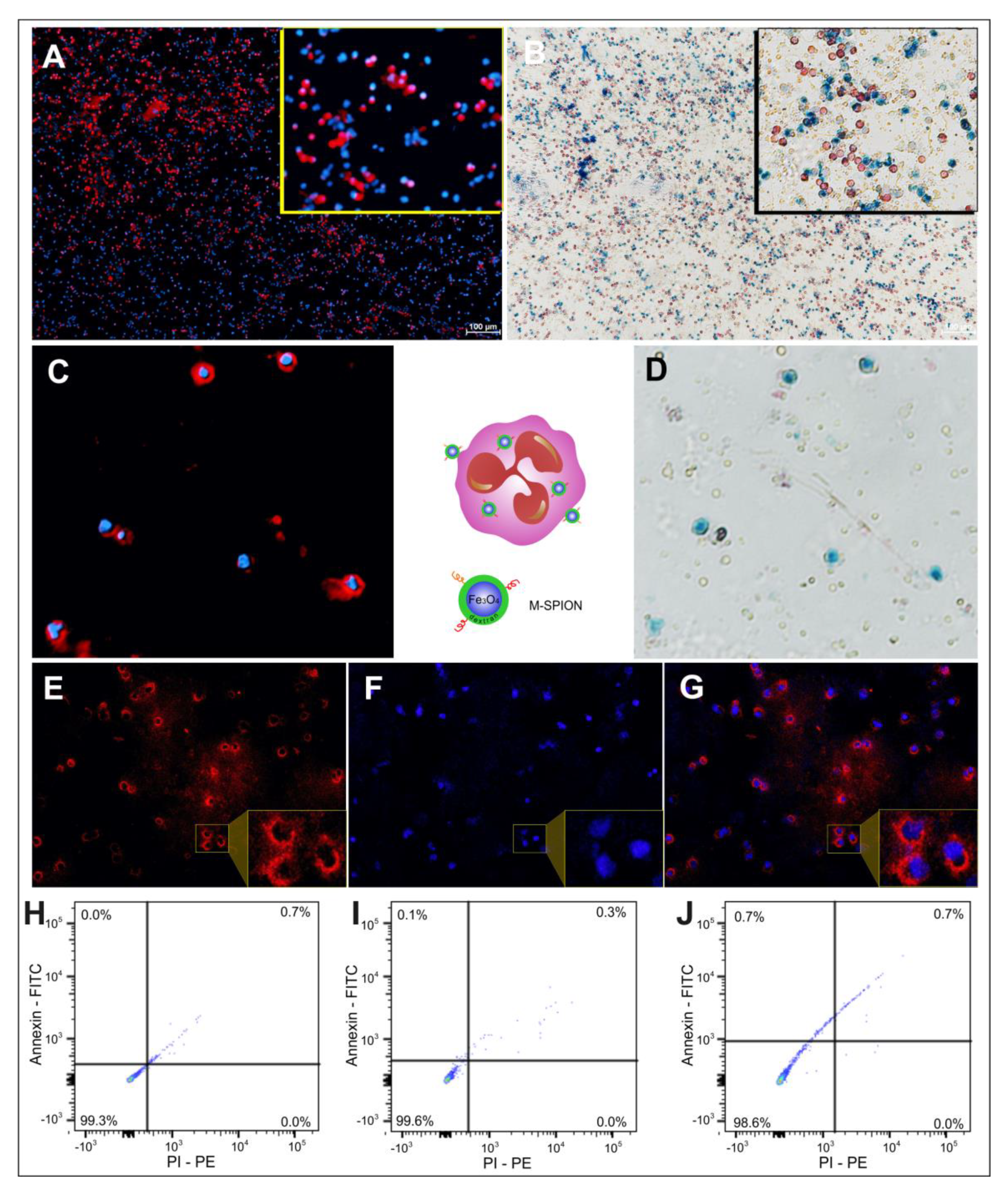 Molecules 25 00765 g004