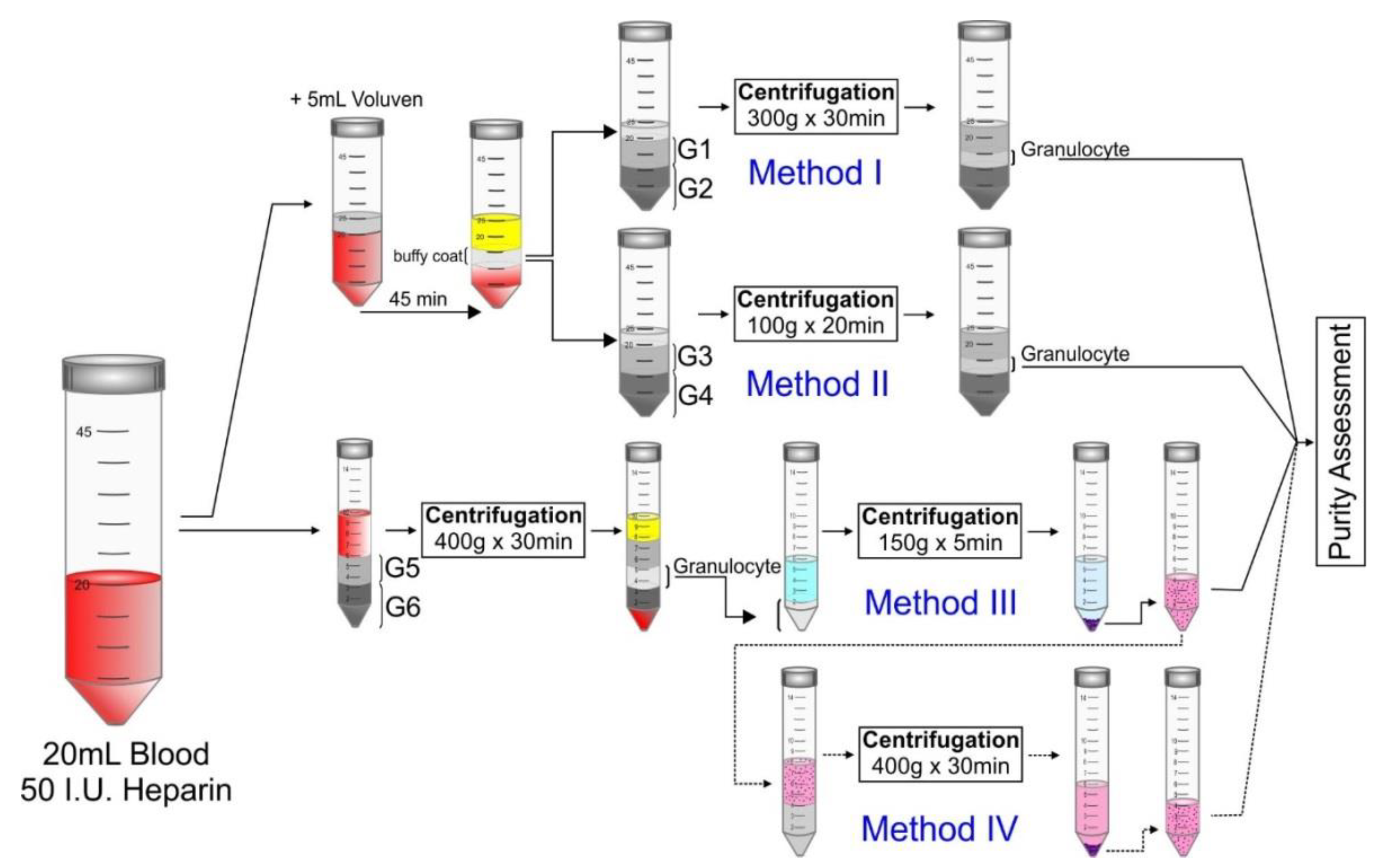 Molecules 25 00765 g006