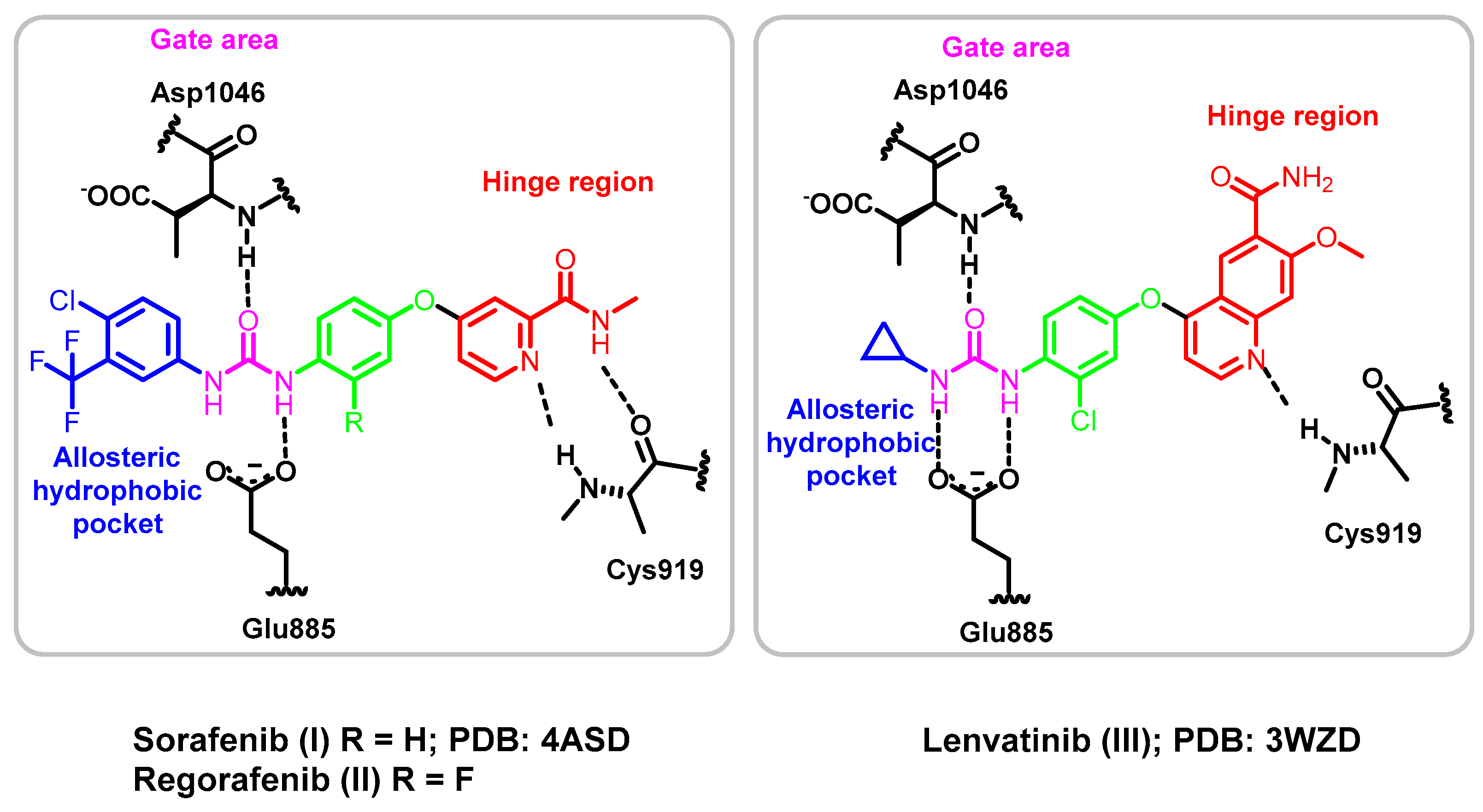 Molecules 25 00770 g002