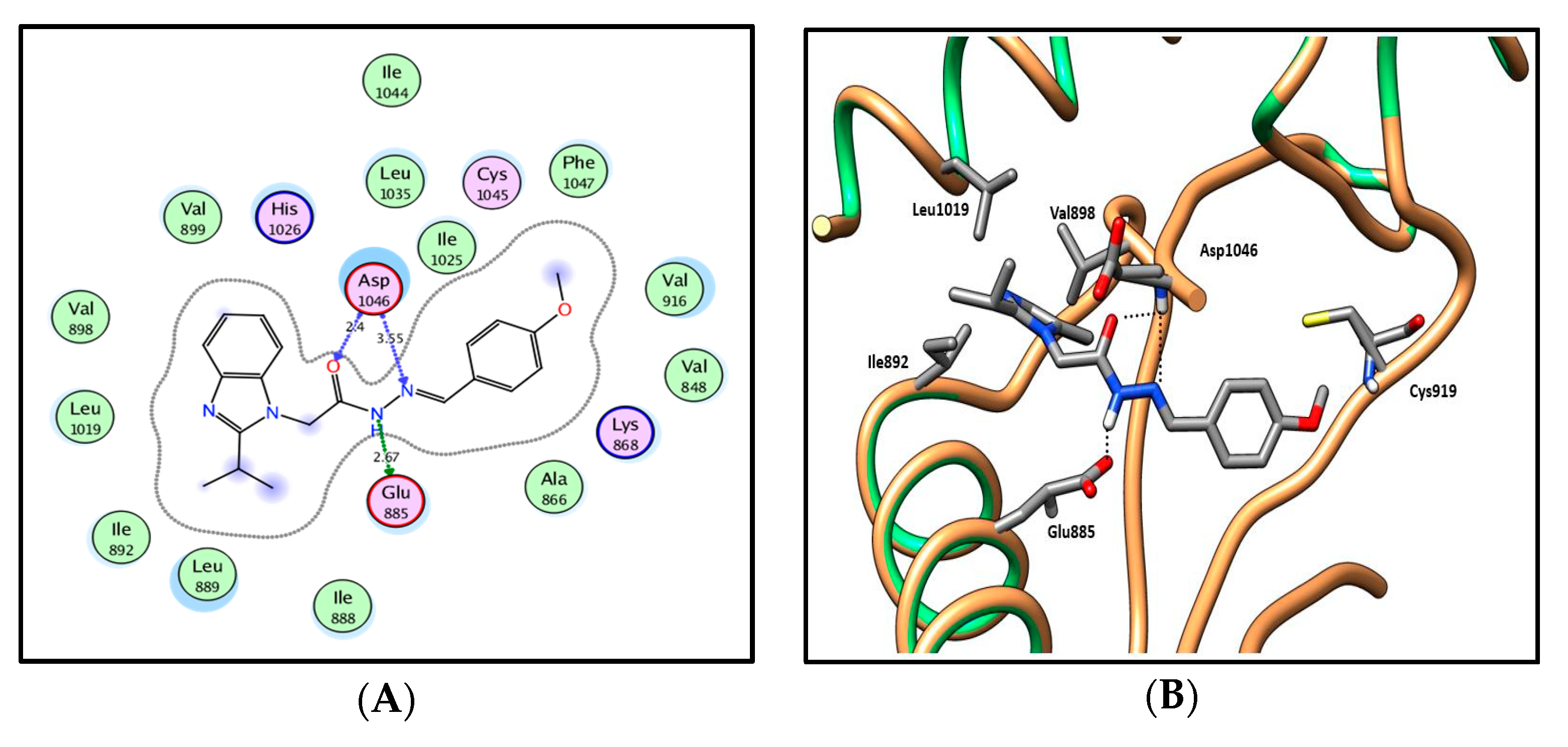 Molecules 25 00770 g010