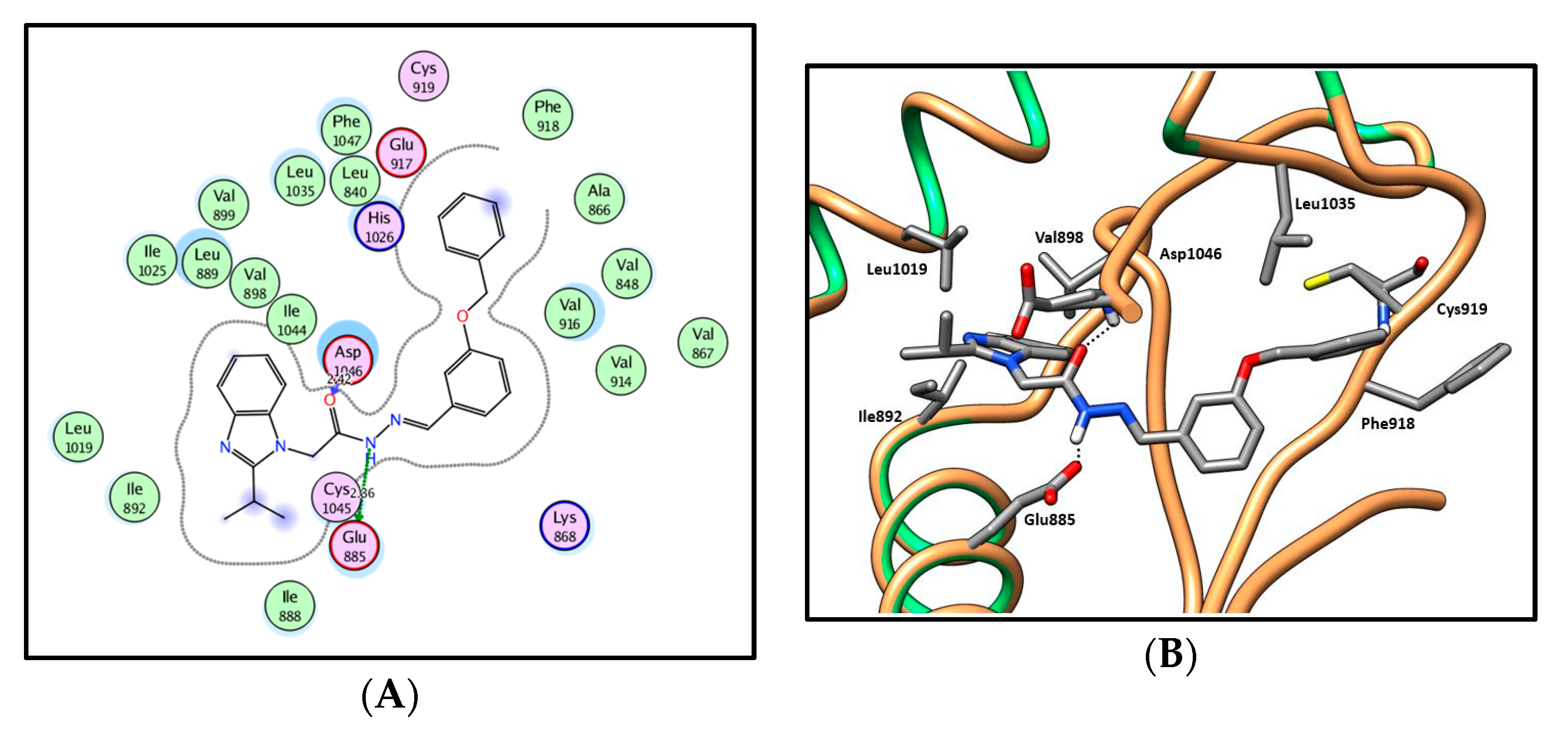 Molecules 25 00770 g011