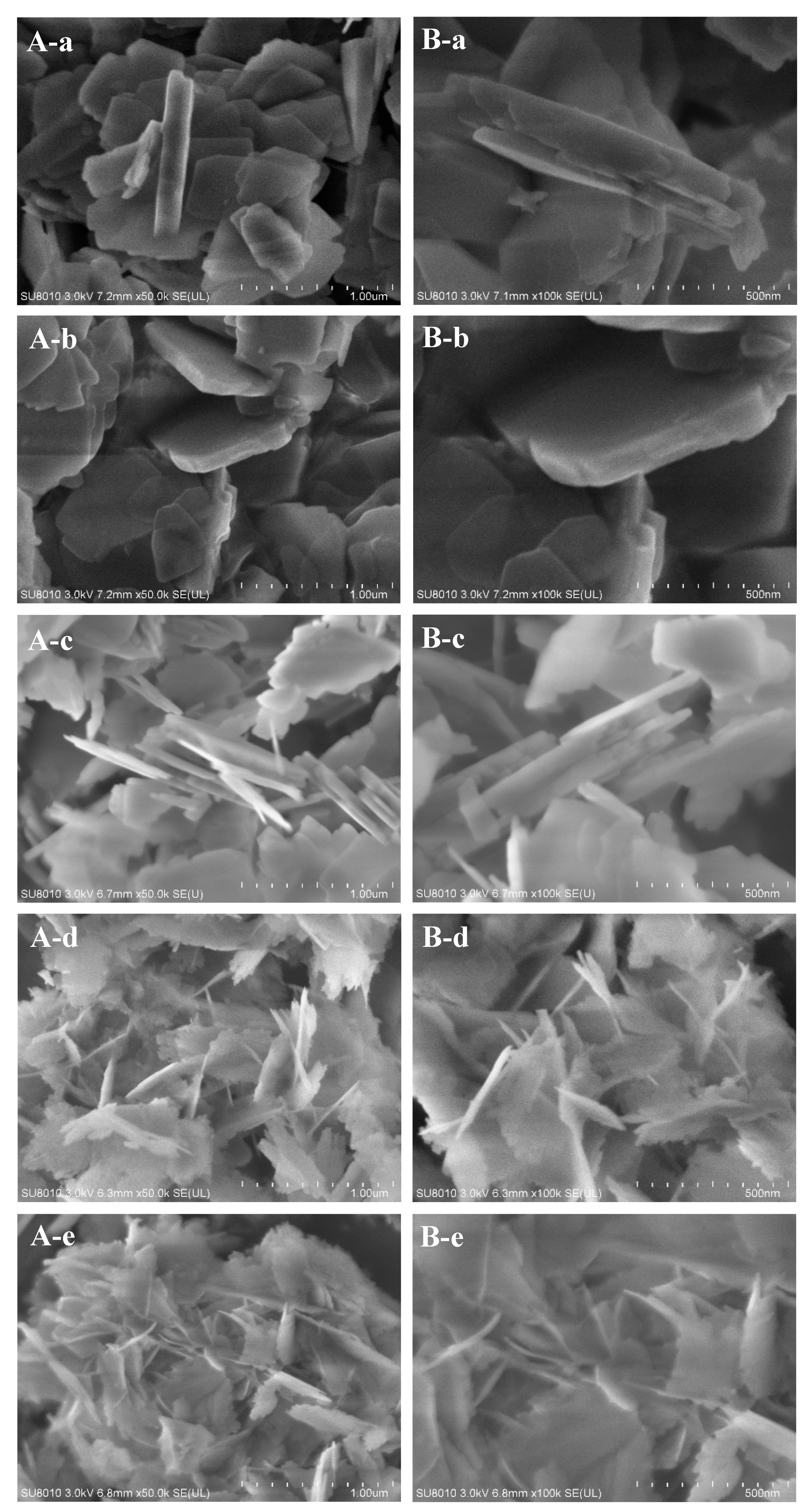 Molecules 25 00771 g002