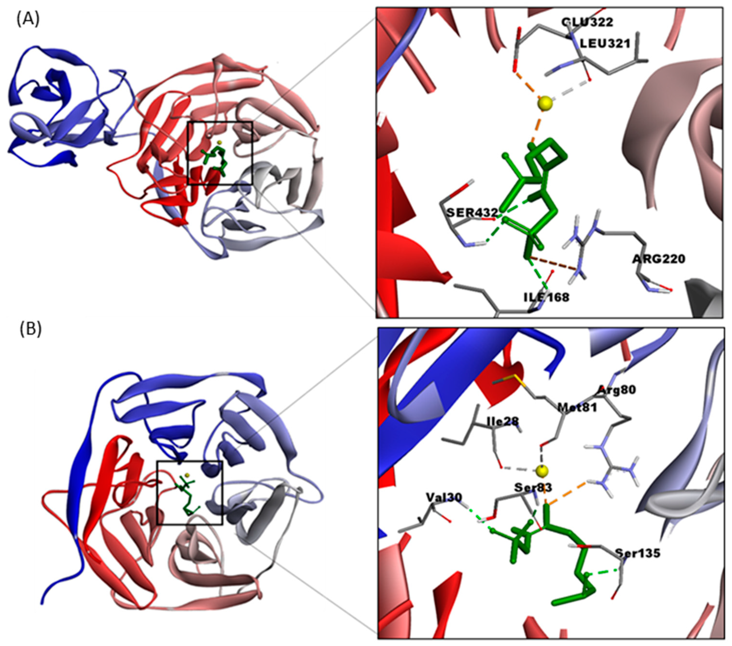 Molecules 25 00772 g006 Molecules 25 00772 g006