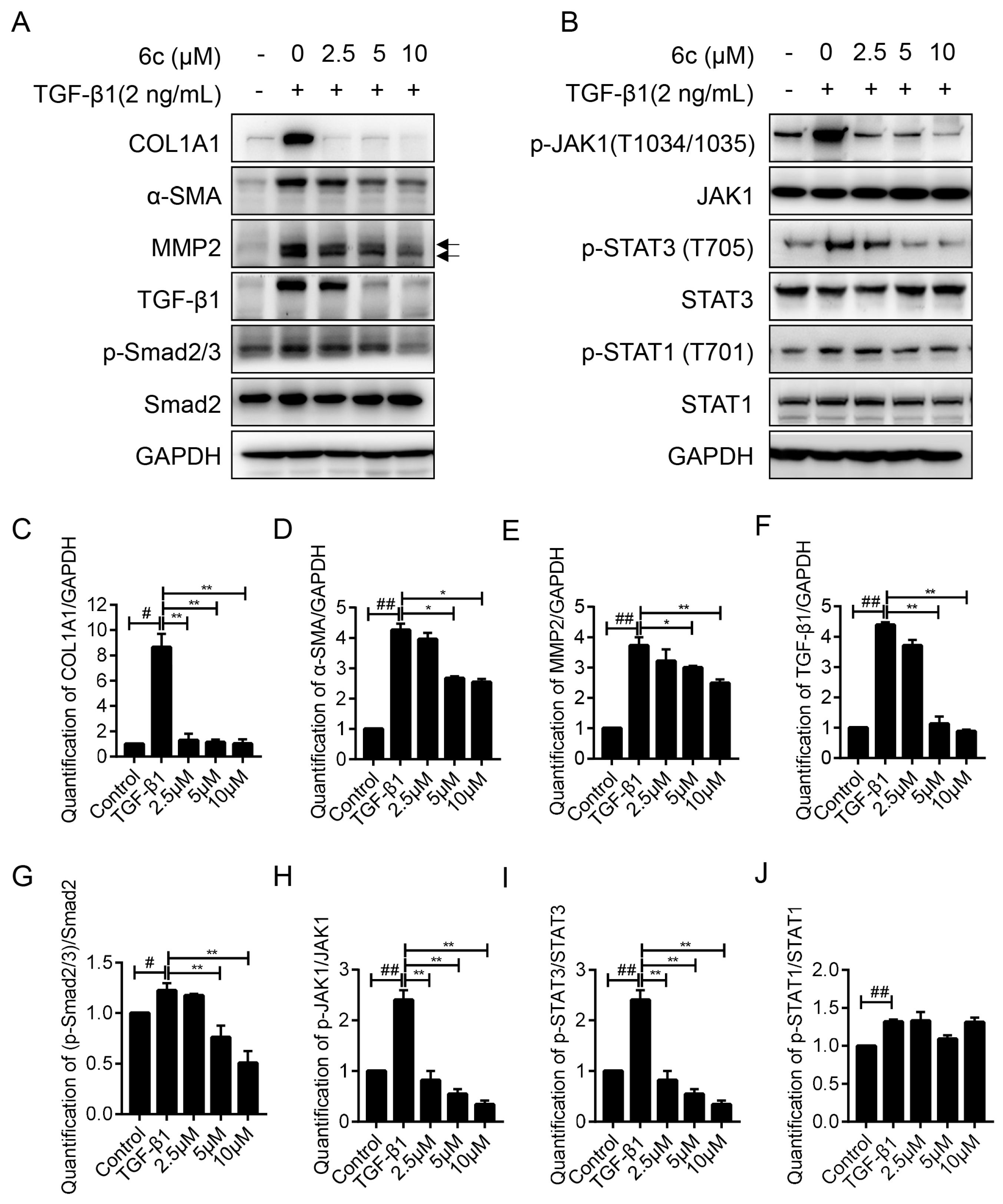 Molecules 25 00773 g005