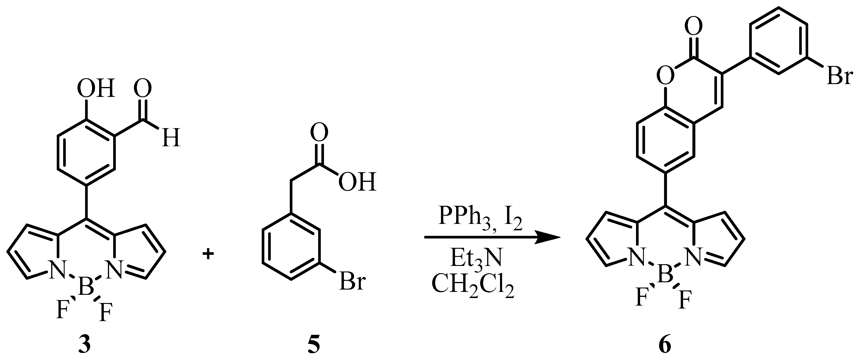 Molecules 25 00781 sch004