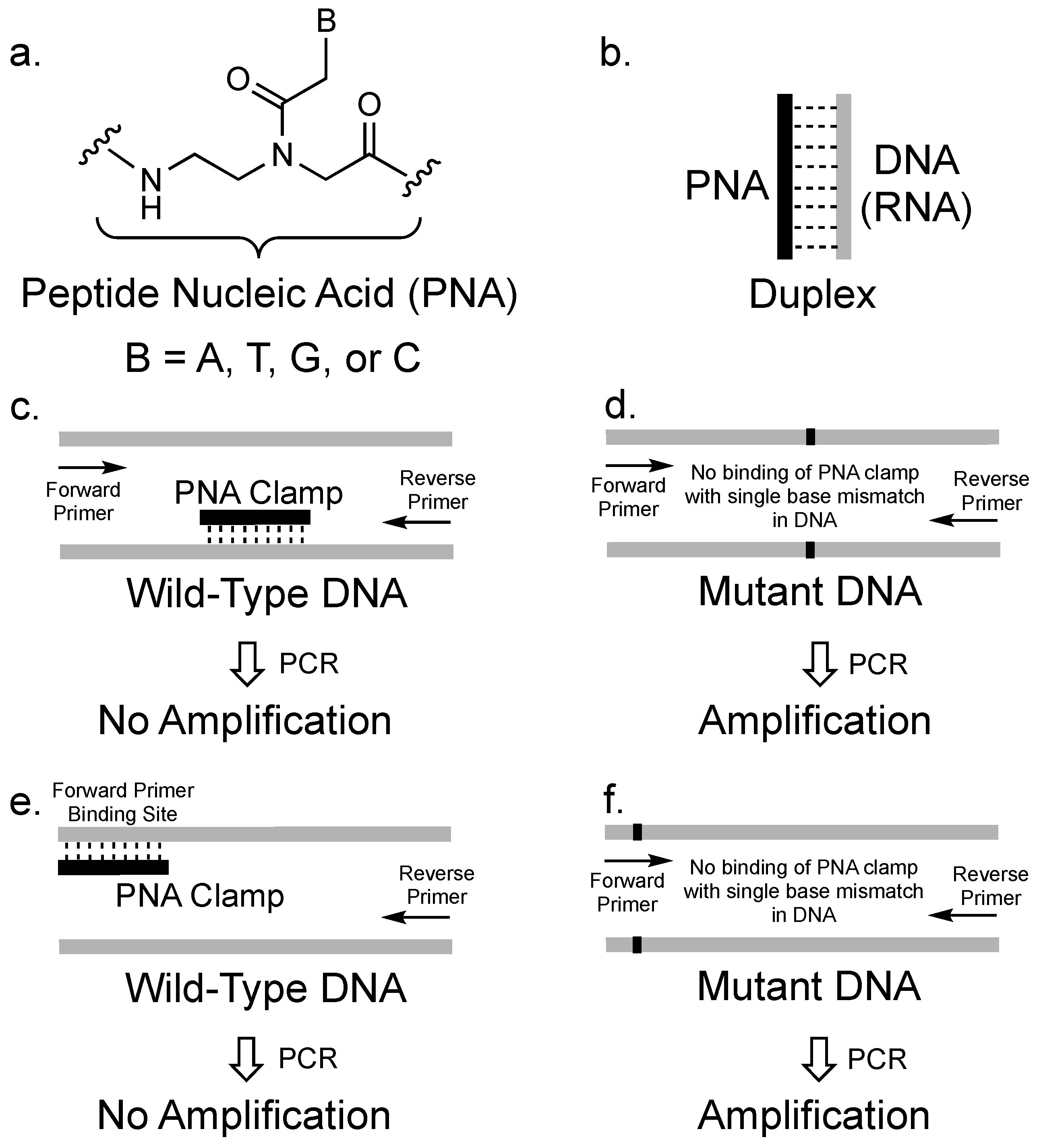 Molecules 25 00786 g001