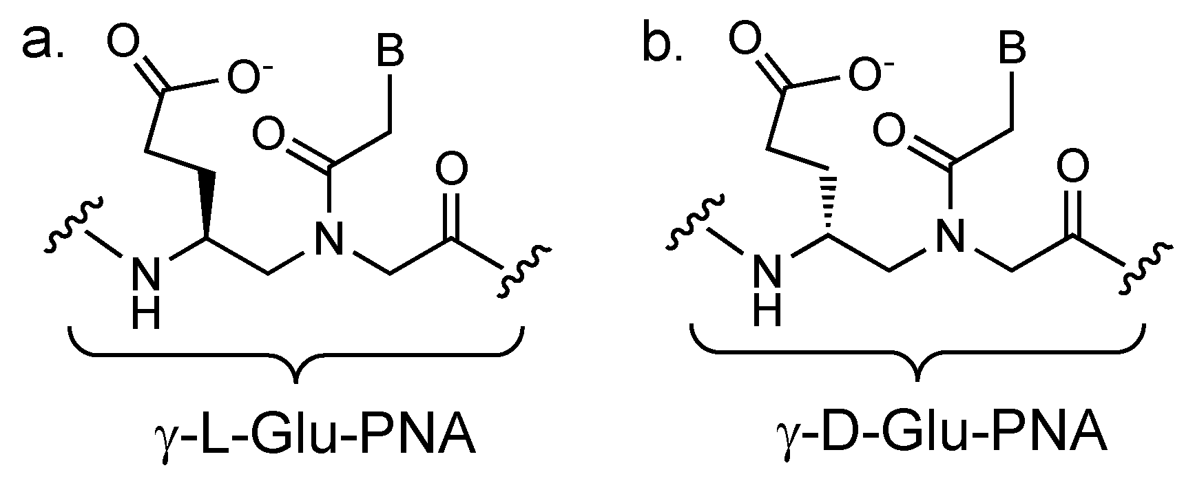 Molecules 25 00786 g002