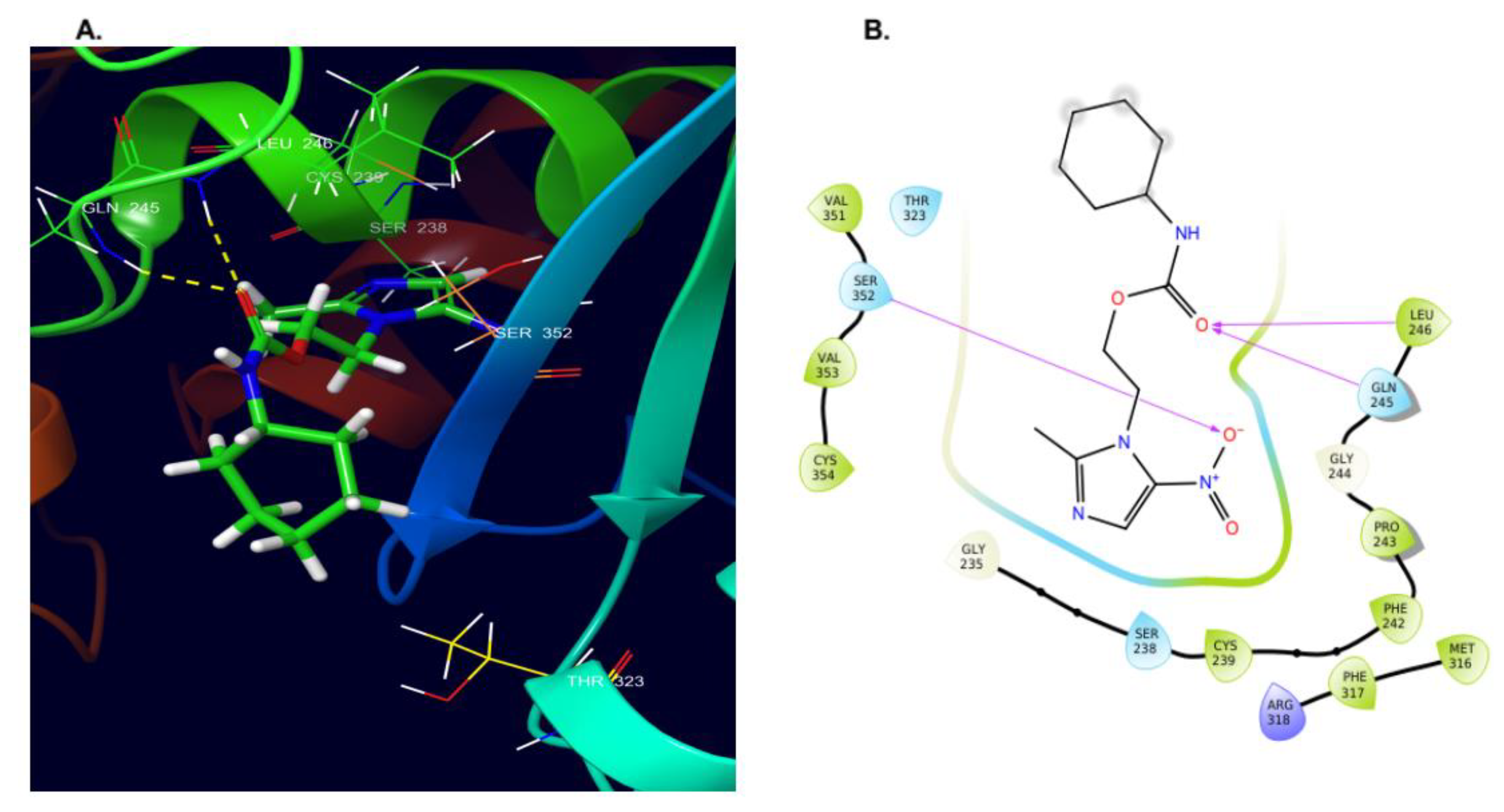Molecules 25 00793 g002 Molecules 25 00793 g002