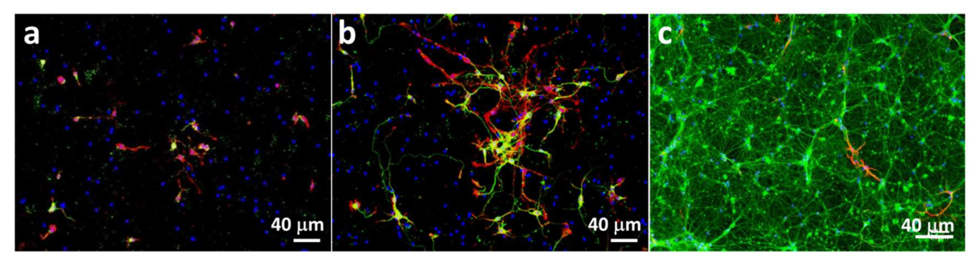Molecules 25 00795 g001