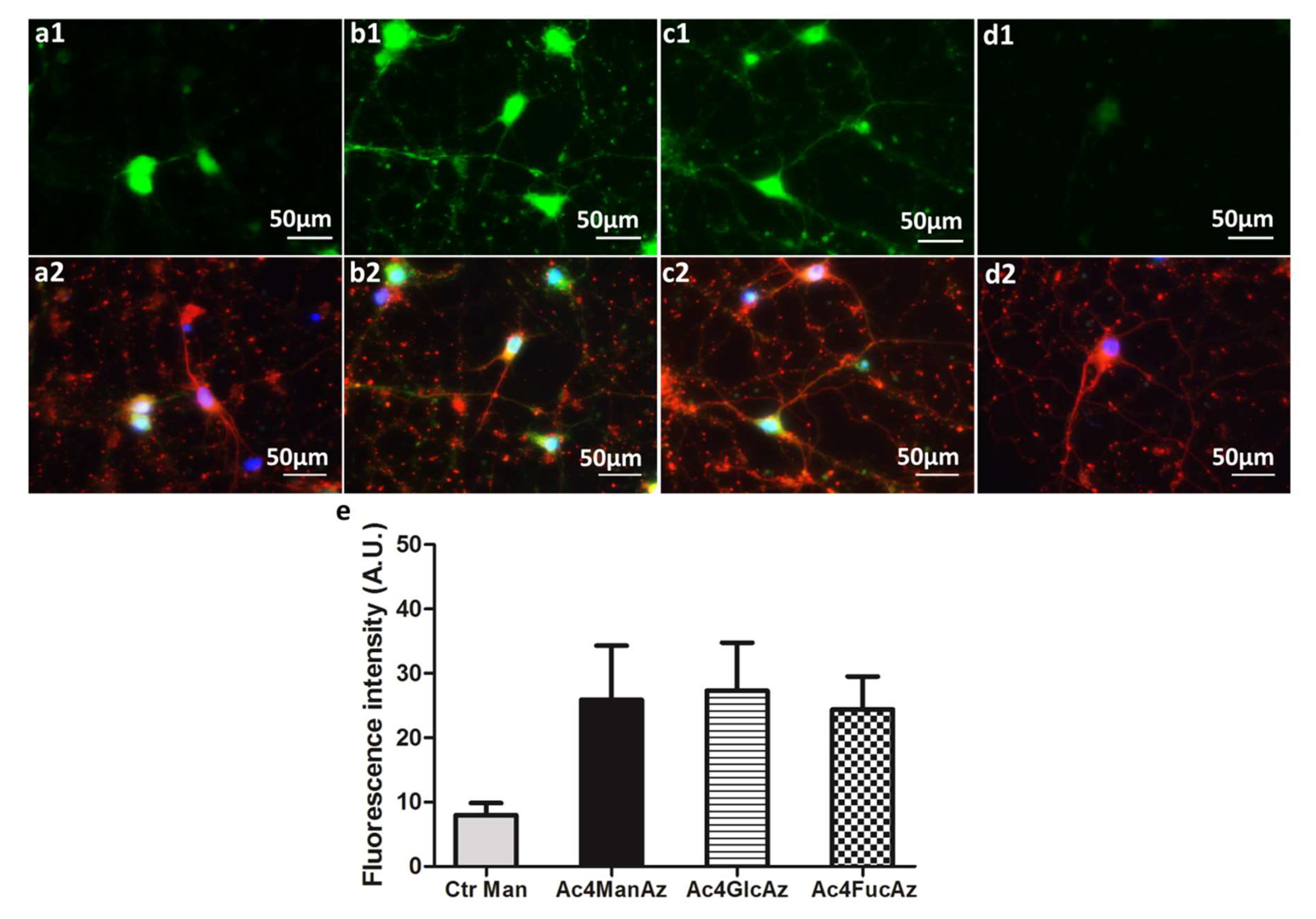Molecules 25 00795 g003