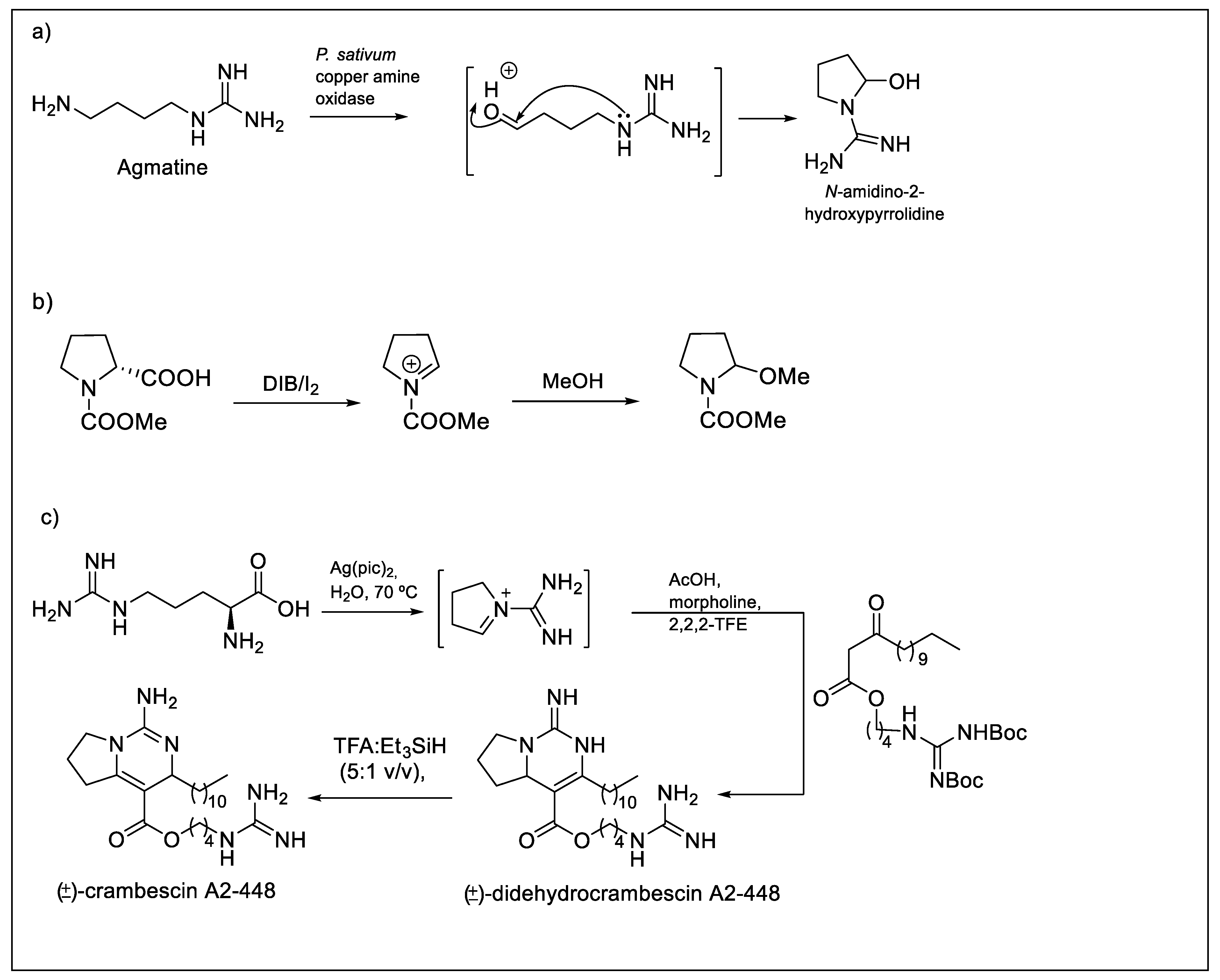 Molecules 25 00797 g002