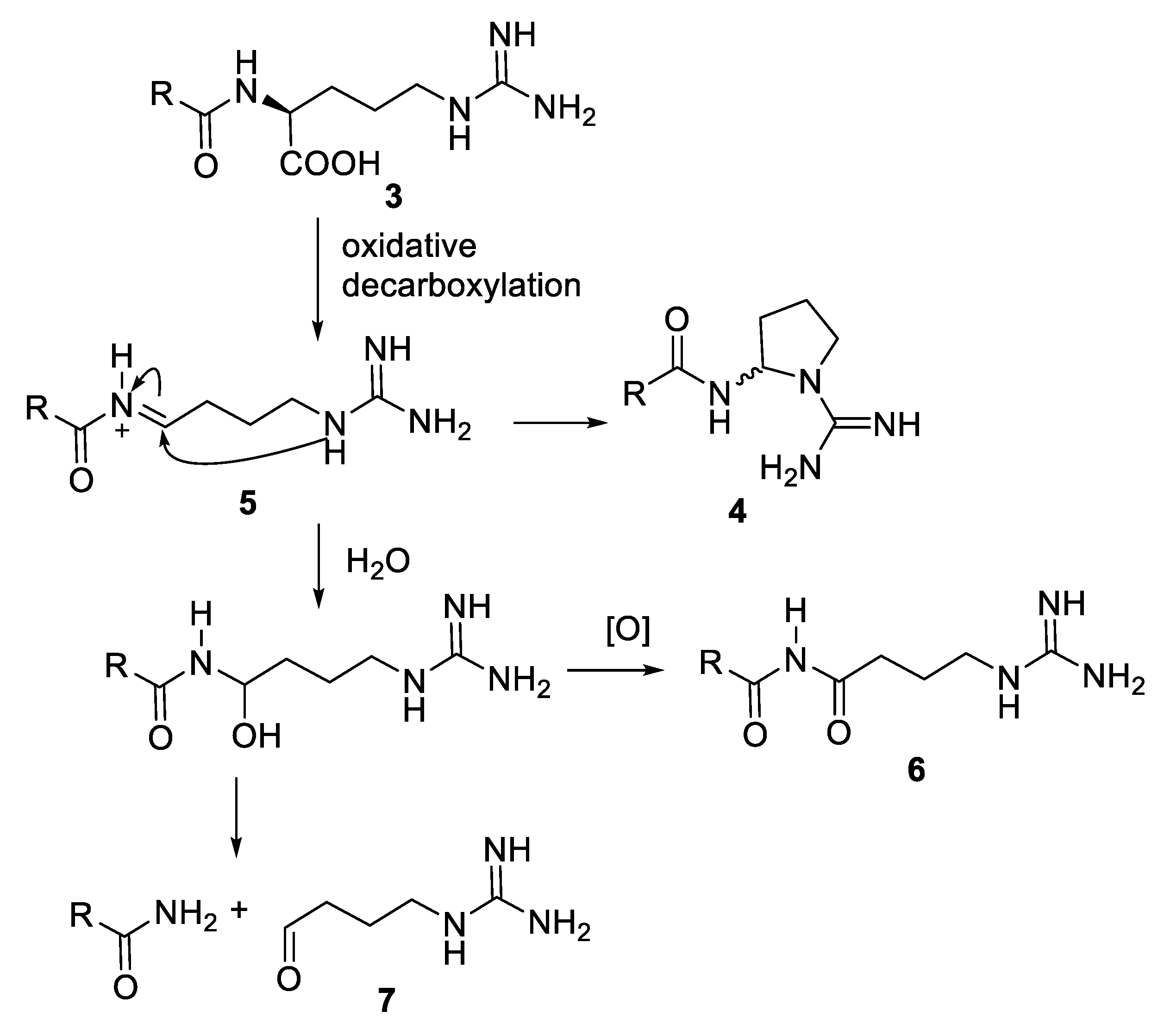 Molecules 25 00797 sch002