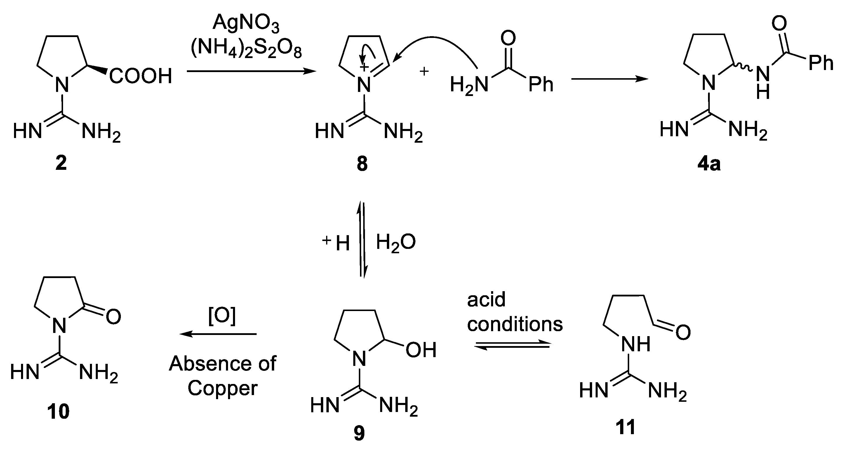 Molecules 25 00797 sch003