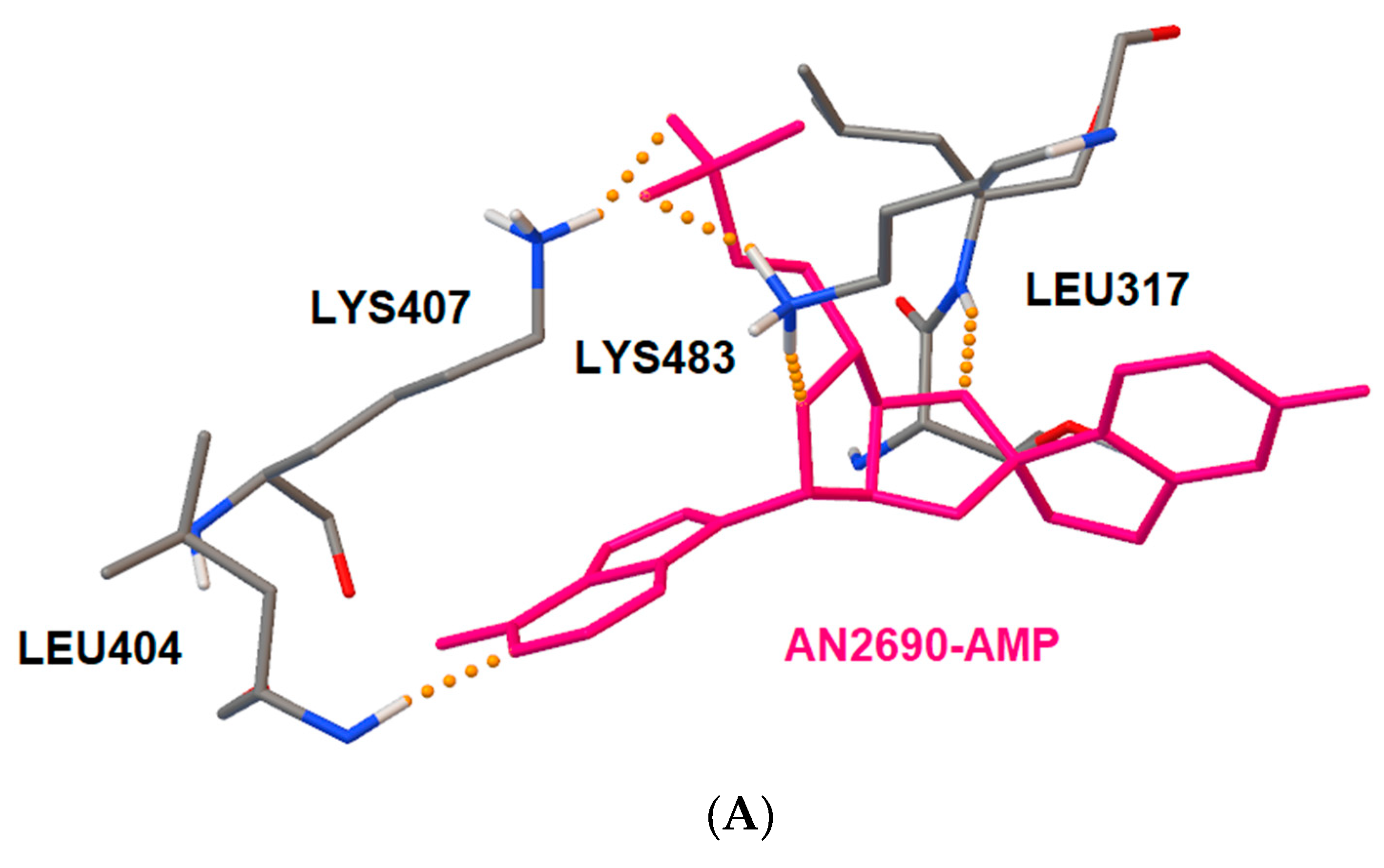 Molecules 25 00799 g003a