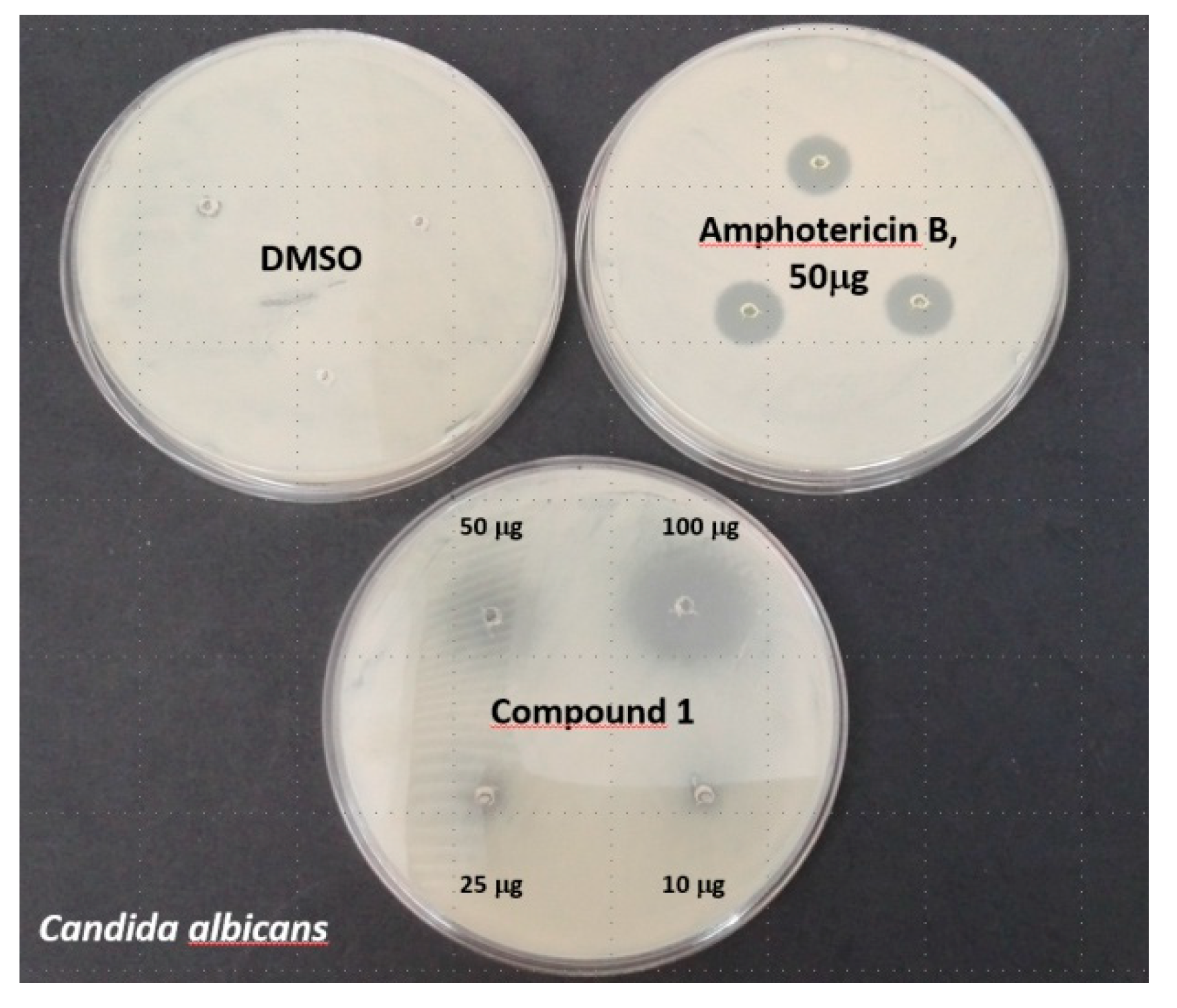 Molecules 25 00799 g005