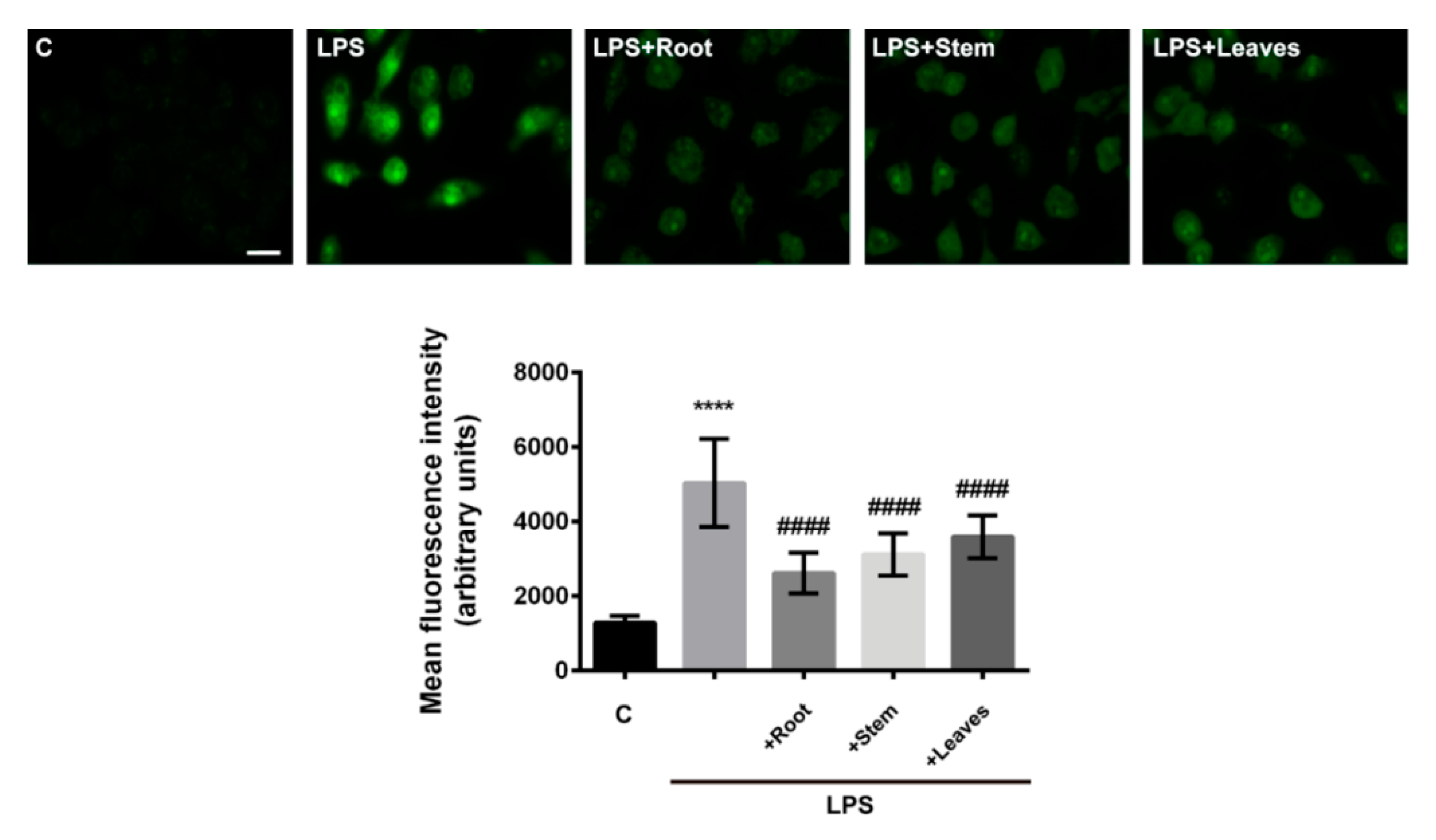 Molecules 25 00812 g003