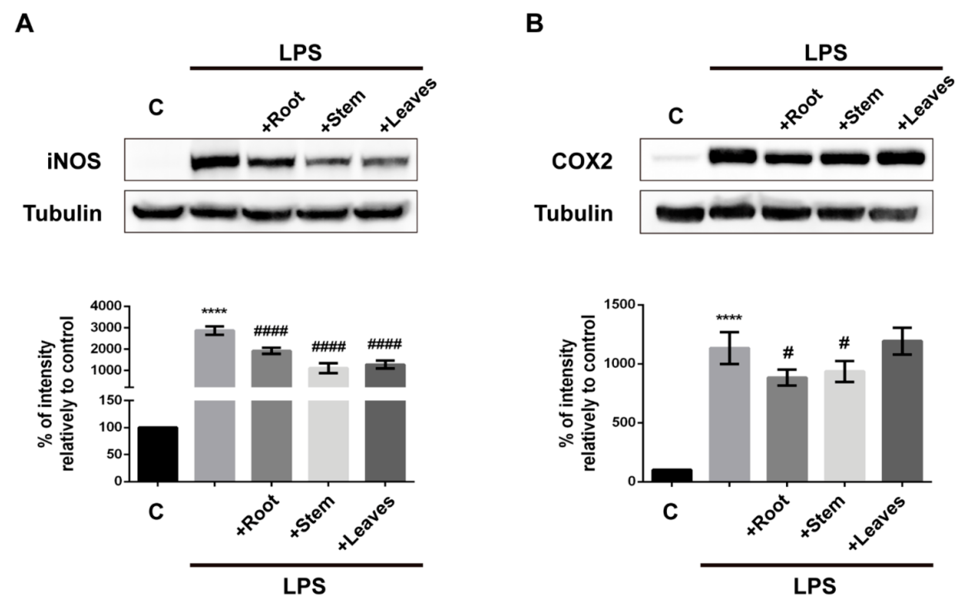 Molecules 25 00812 g005