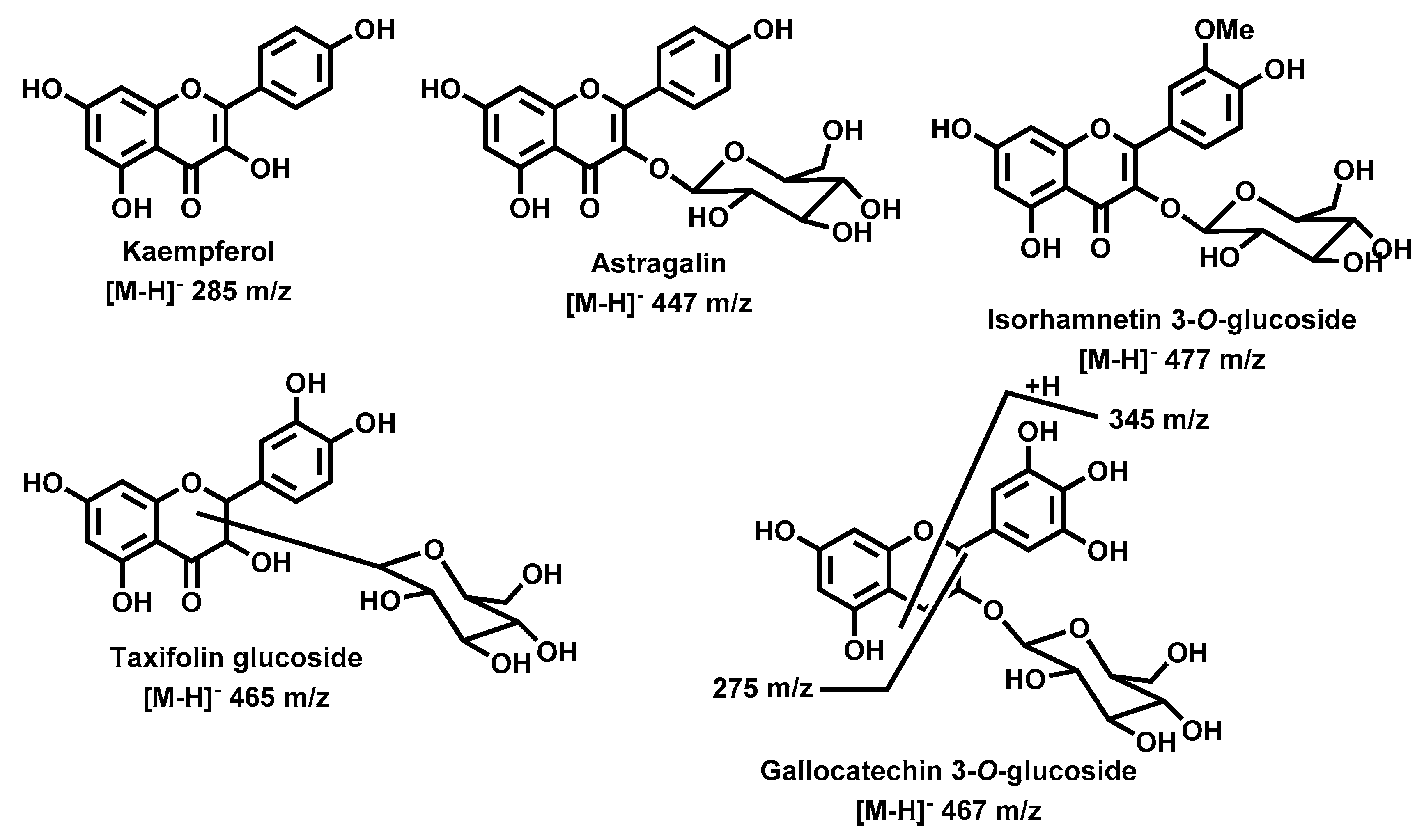 Molecules 25 00812 g008