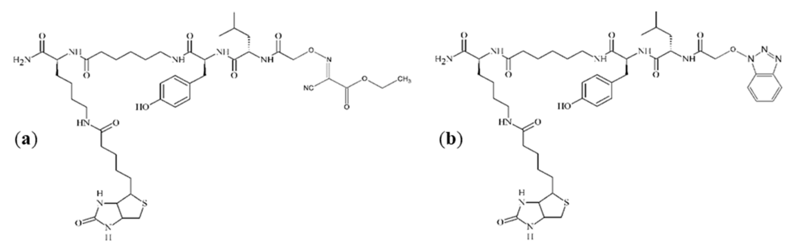 Molecules 25 00813 g004