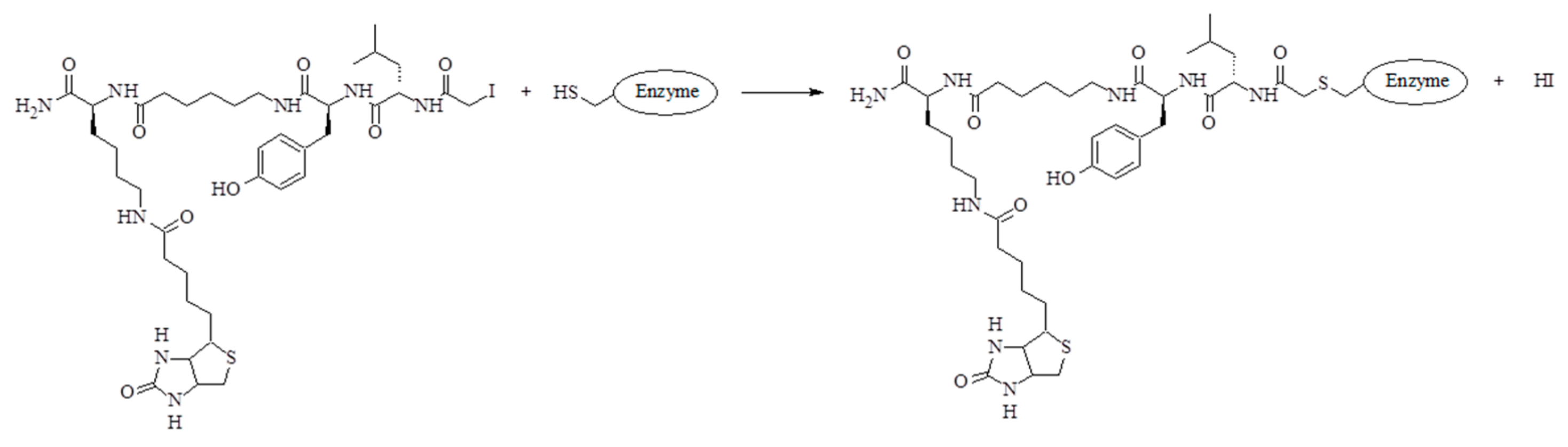 Molecules 25 00813 g008