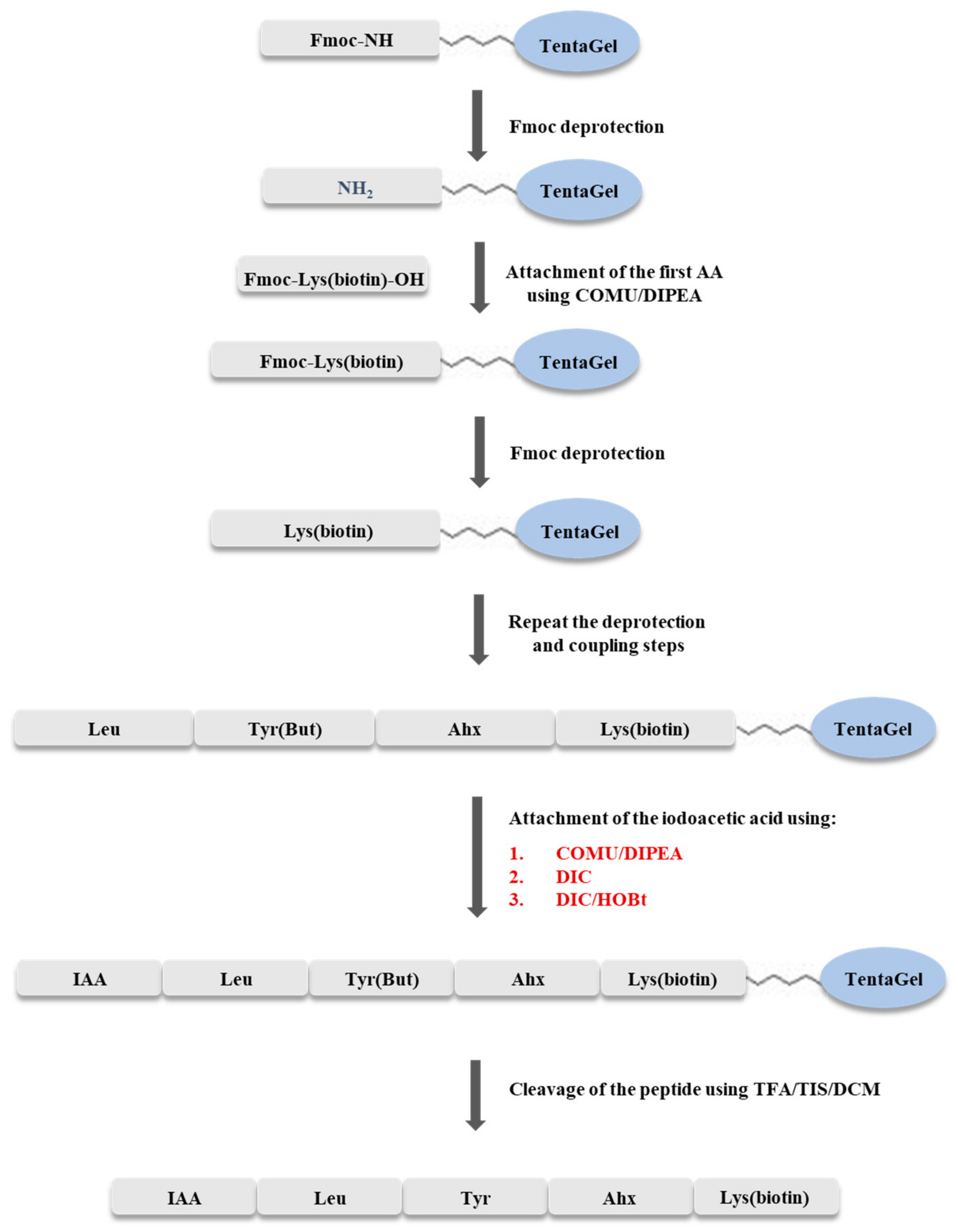 Molecules 25 00813 g009