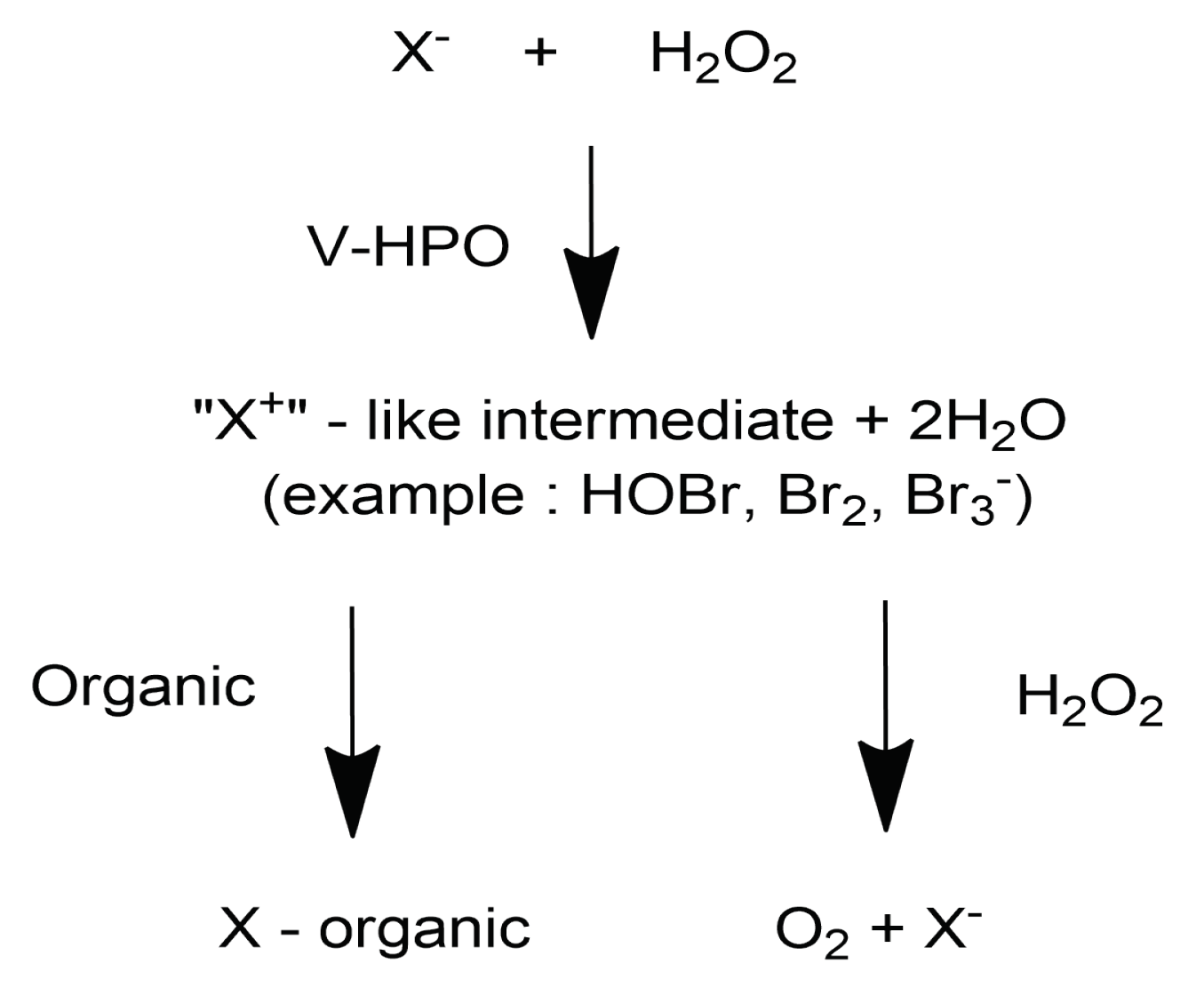 Molecules 25 00815 g001 Molecules 25 00815 g001