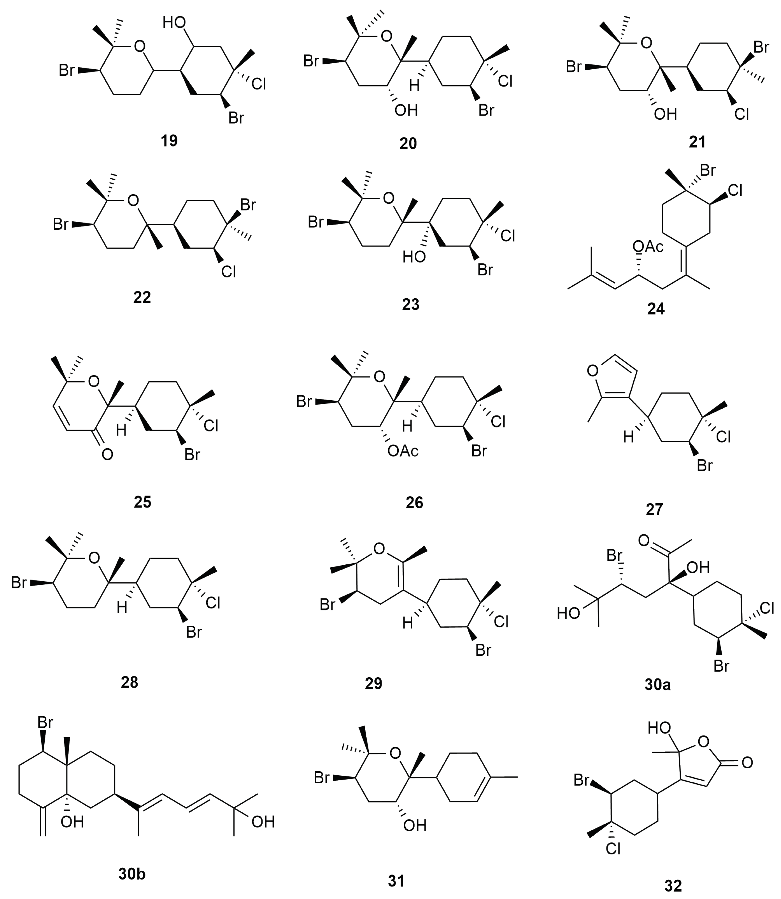 Molecules 25 00815 g004 Molecules 25 00815 g004