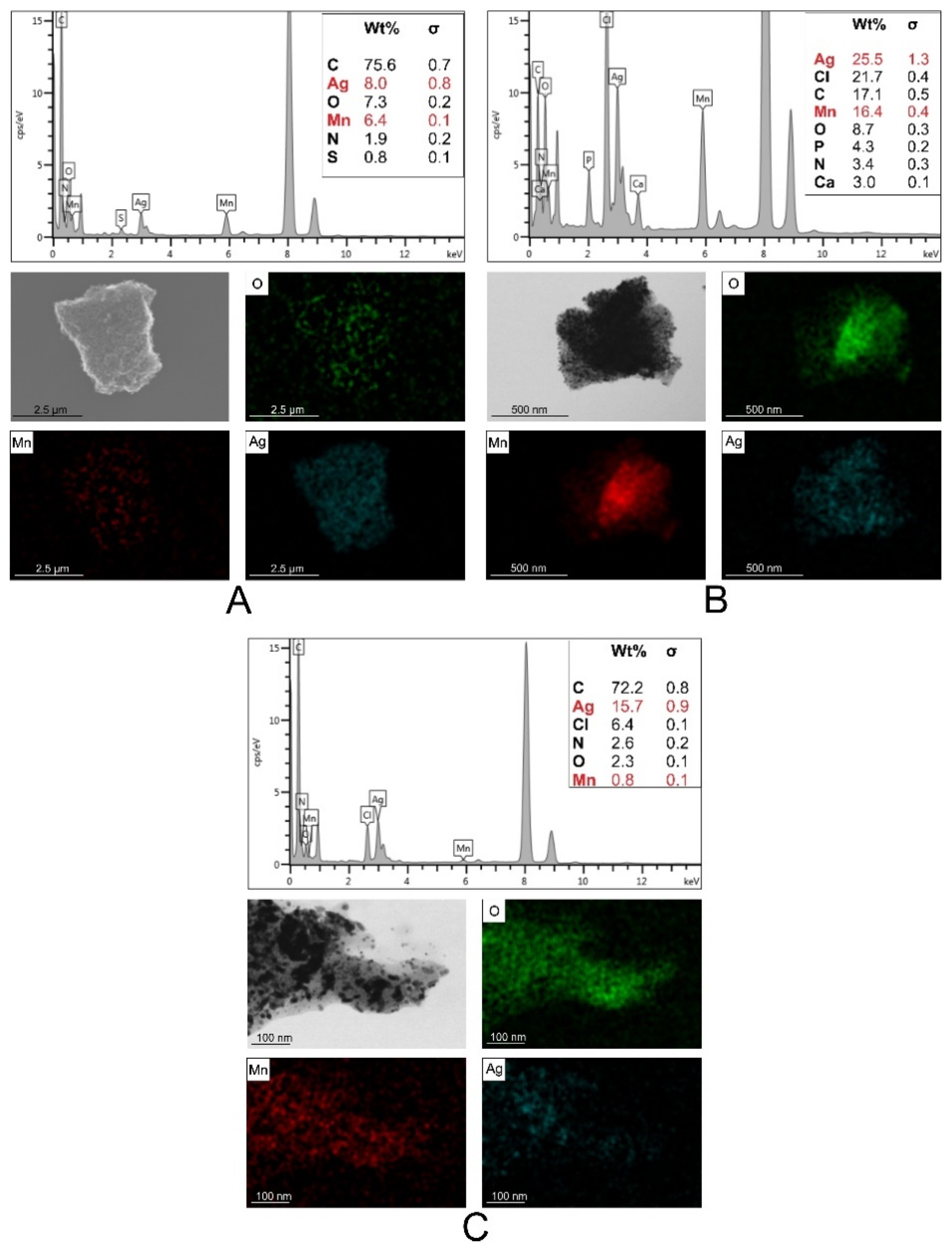 Molecules 25 00819 g003