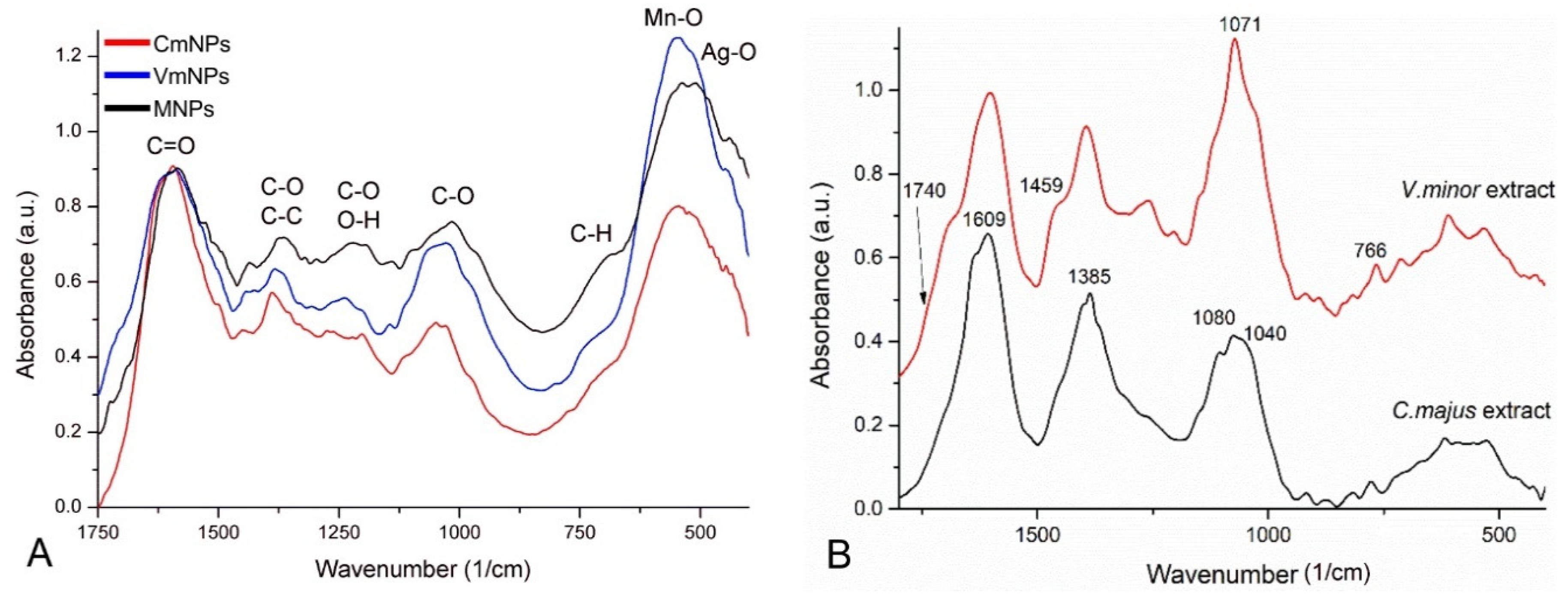 Molecules 25 00819 g005