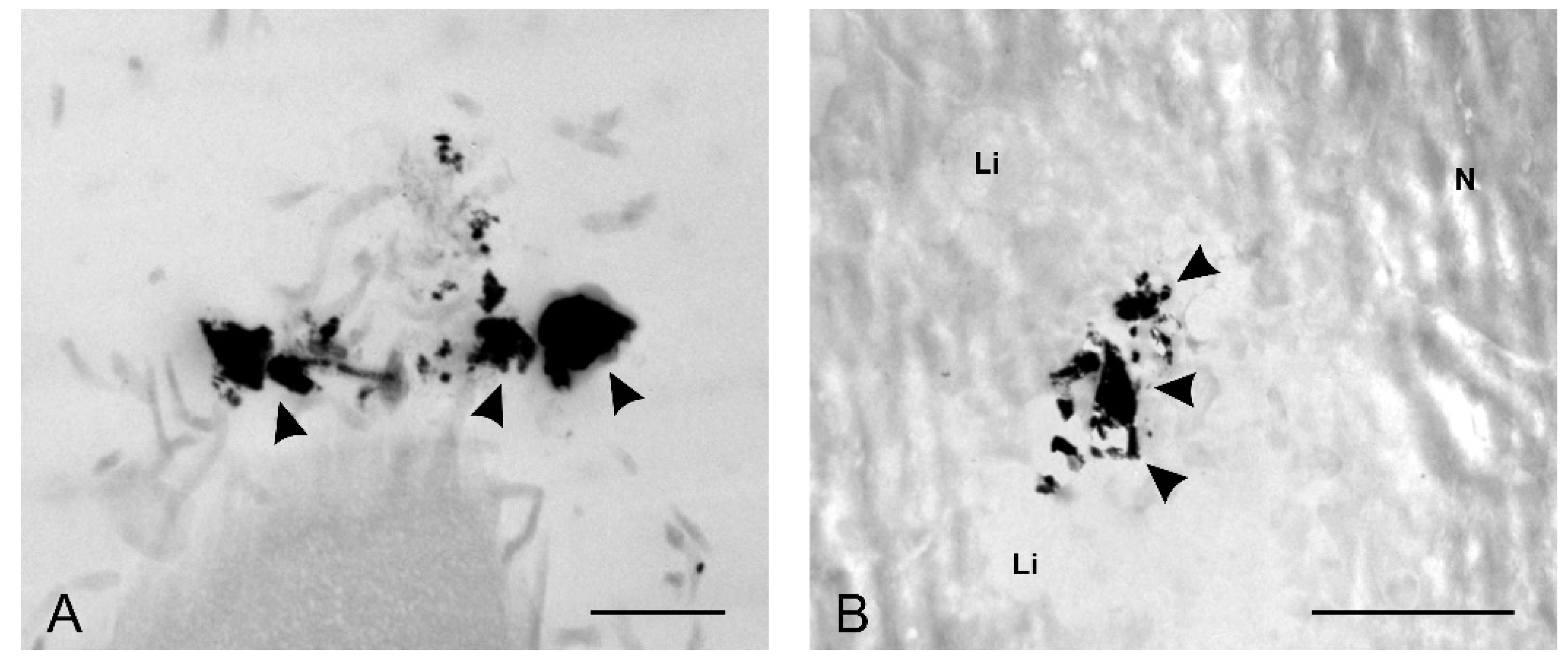 Molecules 25 00819 g009