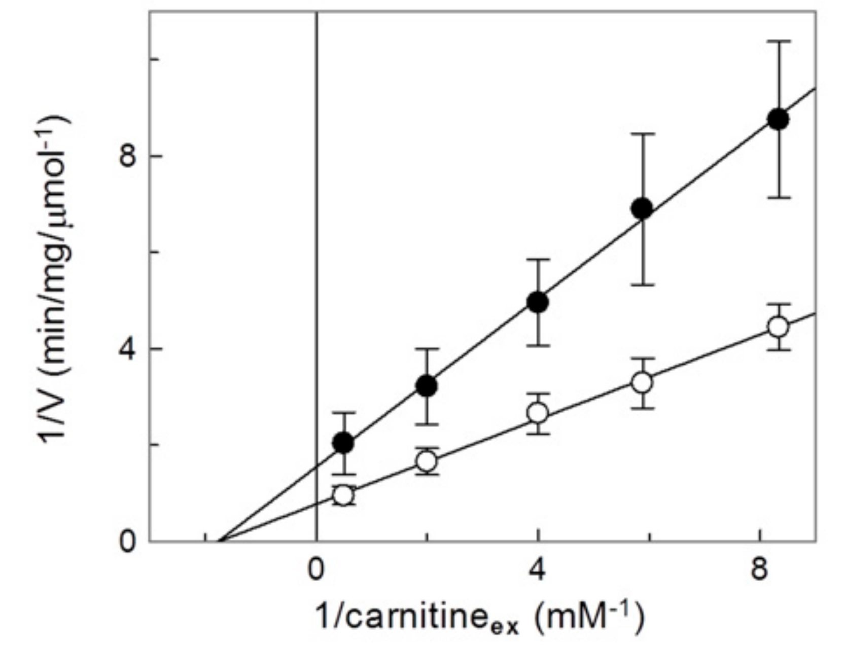Molecules 25 00820 g004