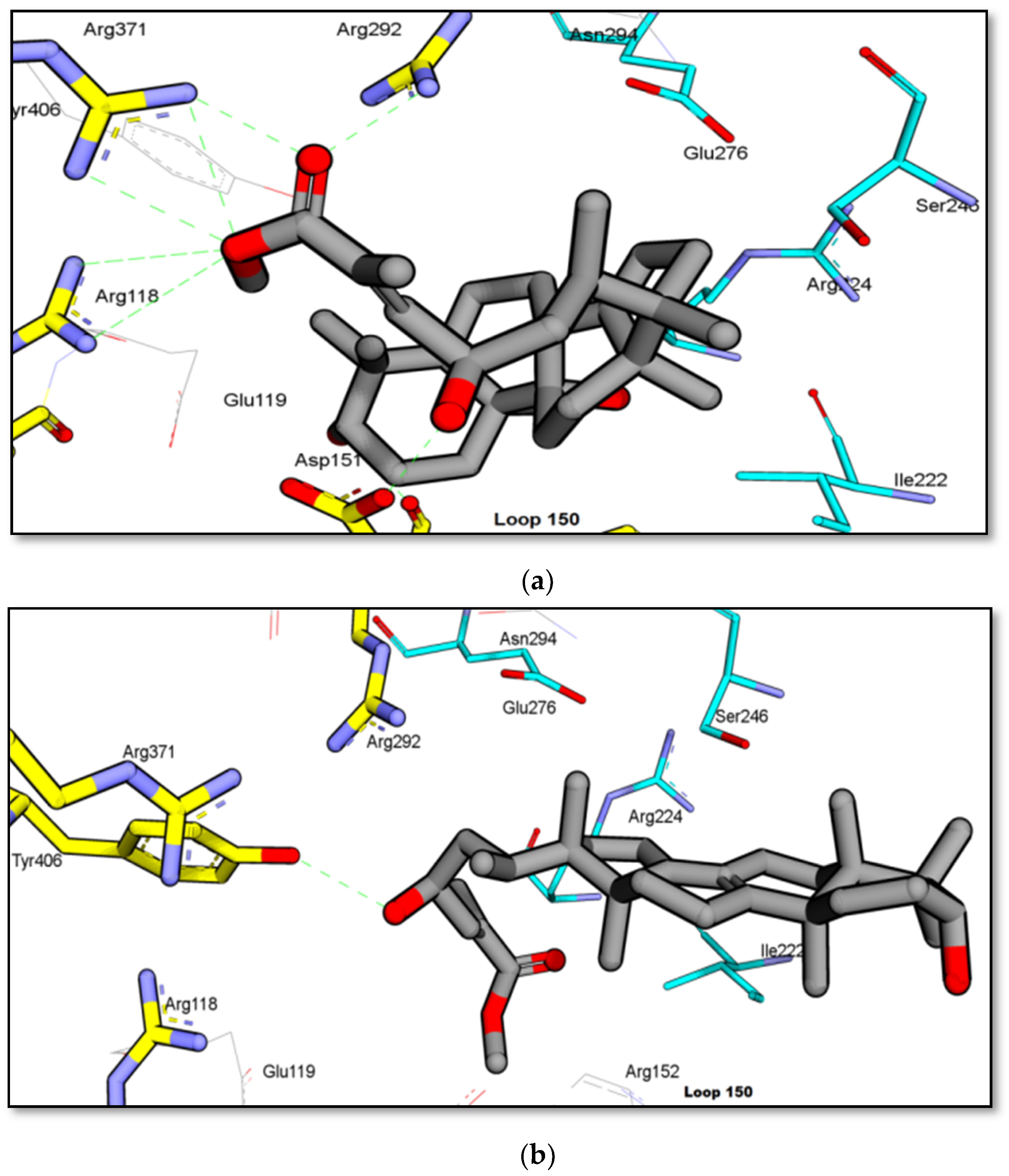 Molecules 25 00821 g006