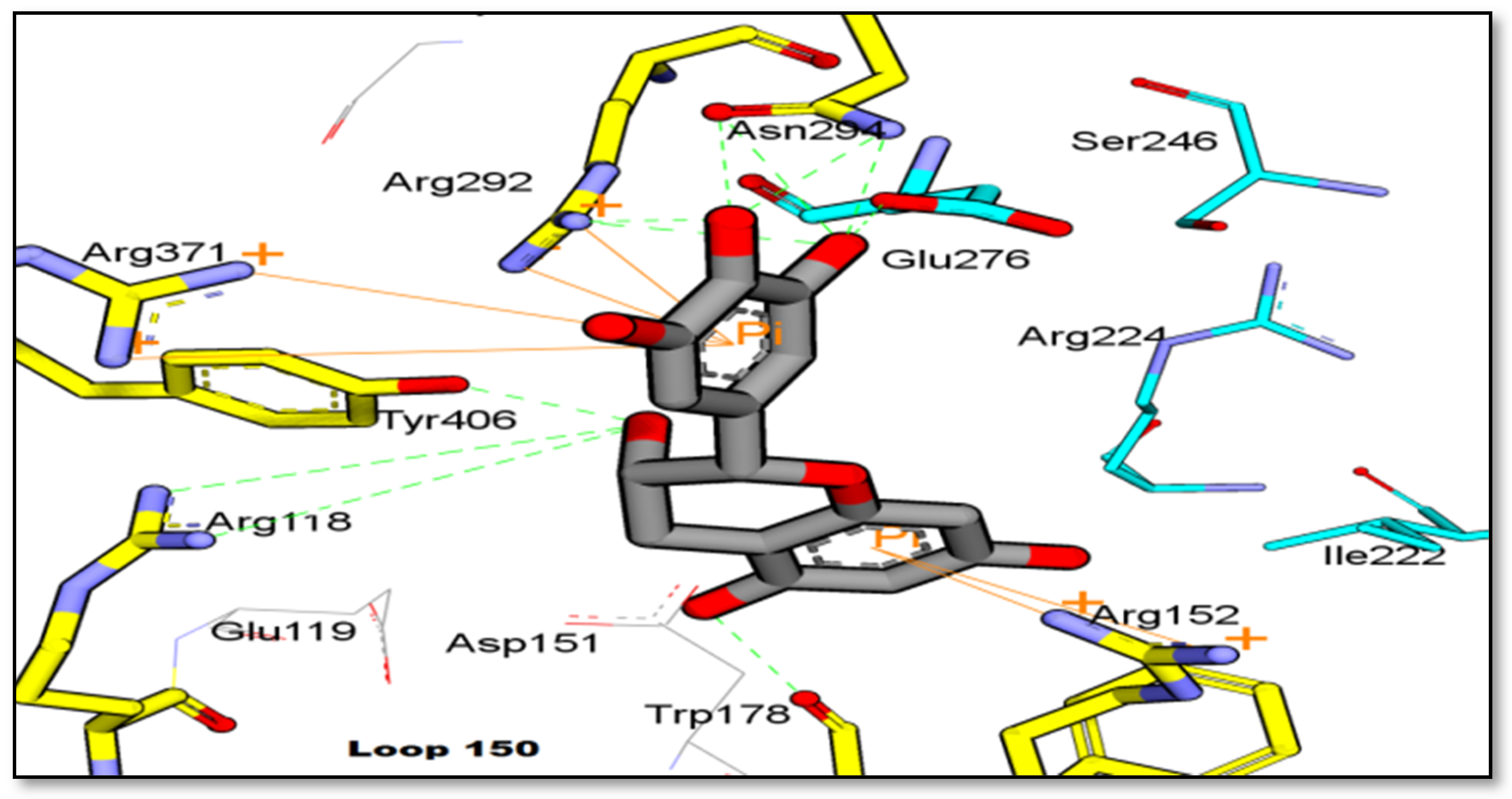 Molecules 25 00821 g007