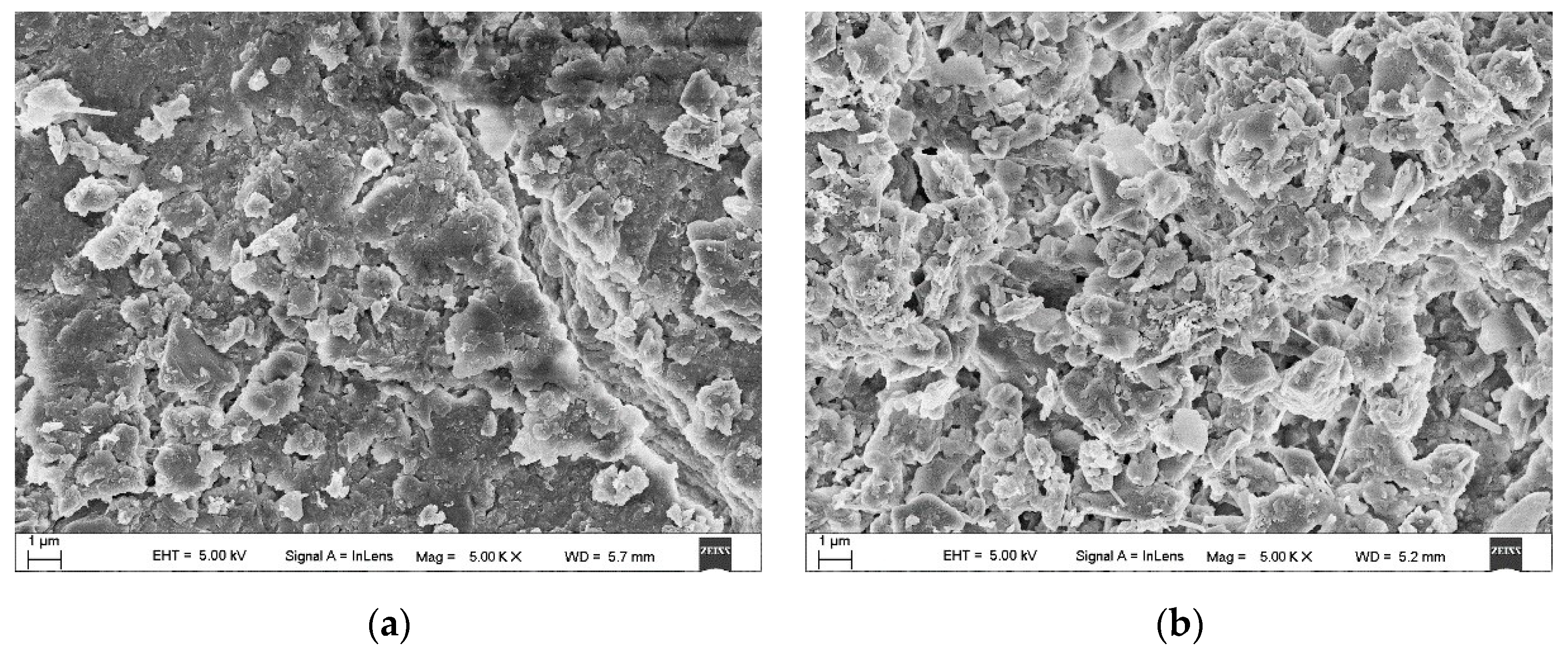 Molecules 25 00822 g001