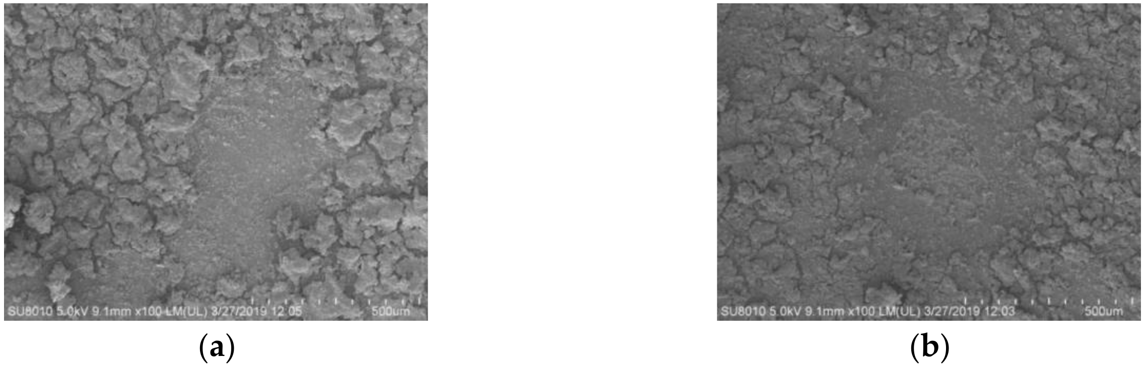 Molecules 25 00822 g003