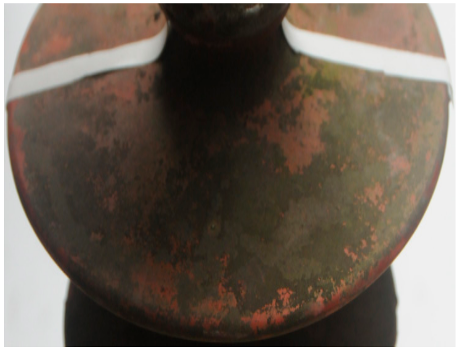 Molecules 25 00822 g013