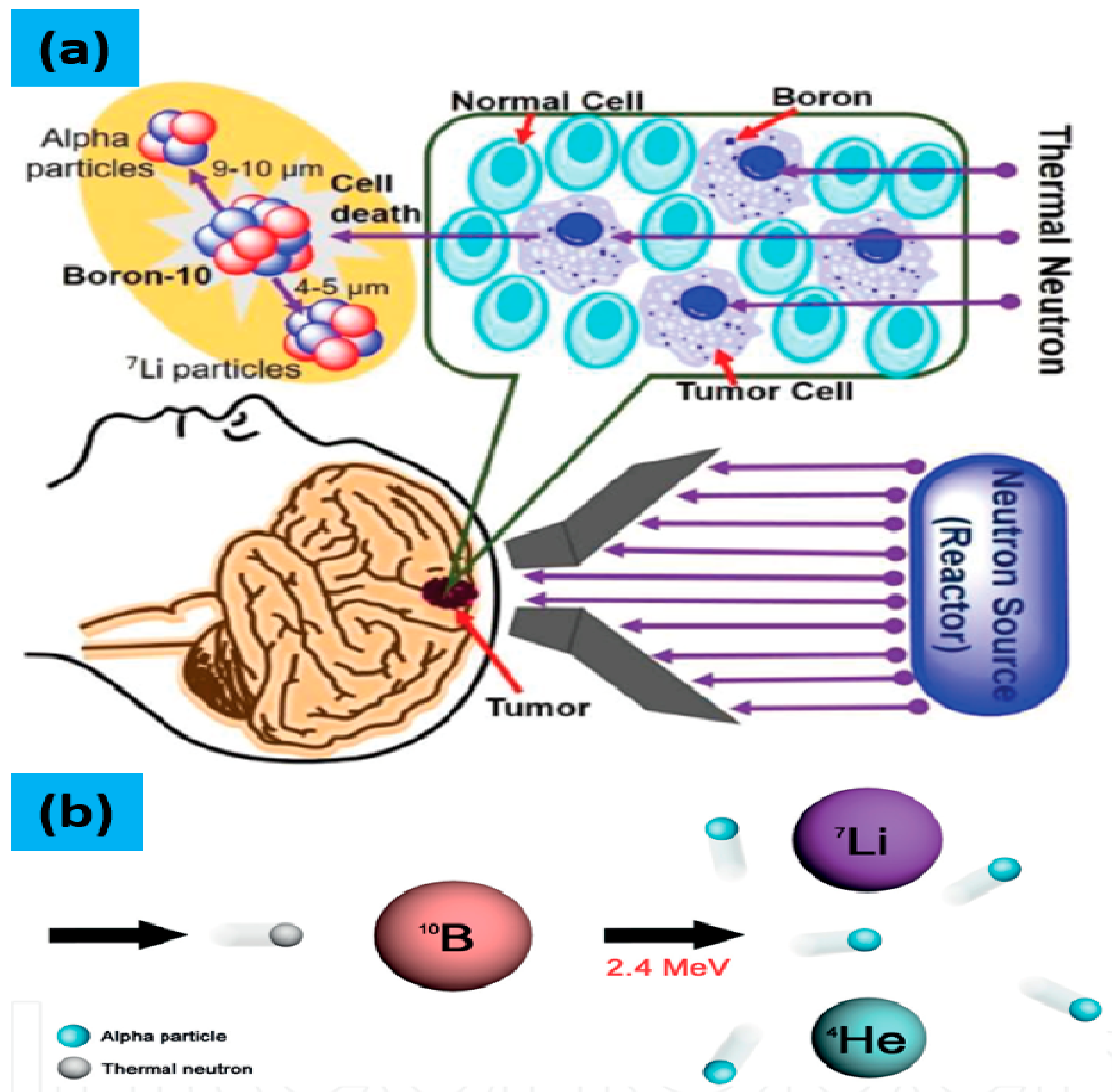 Molecules 25 00828 g002