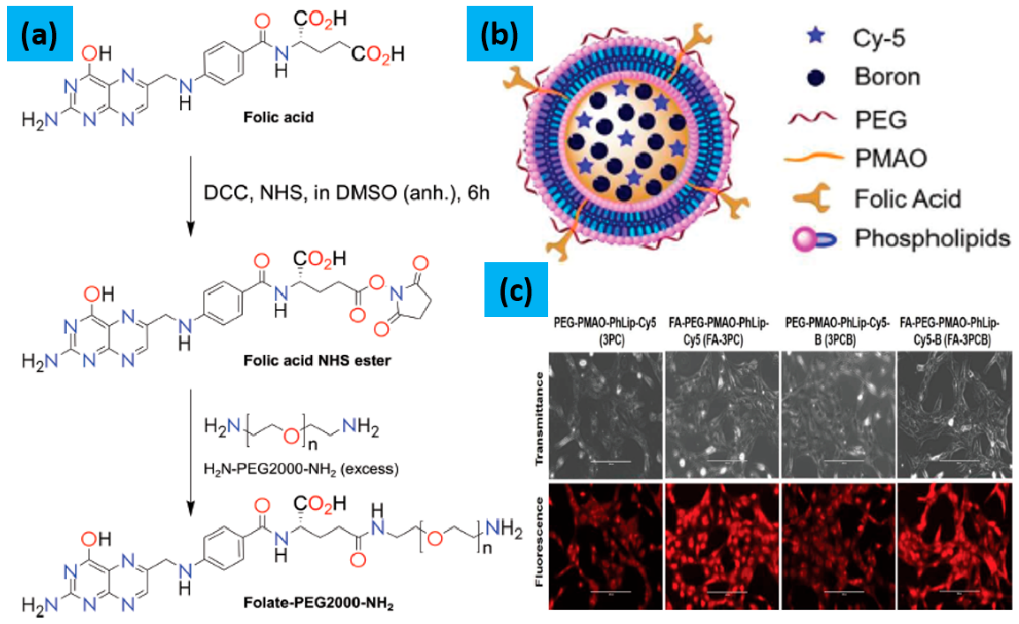 Molecules 25 00828 g004