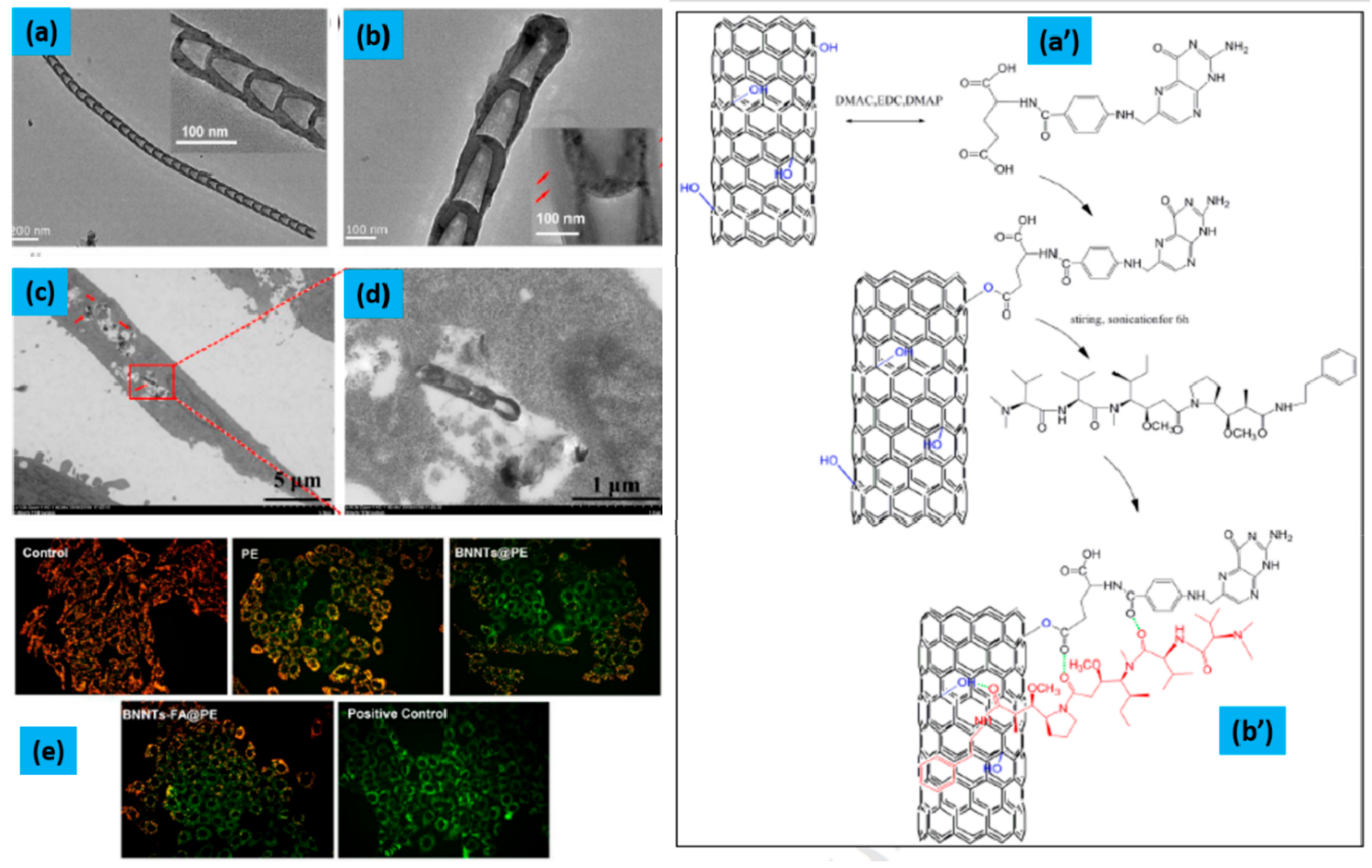Molecules 25 00828 g005