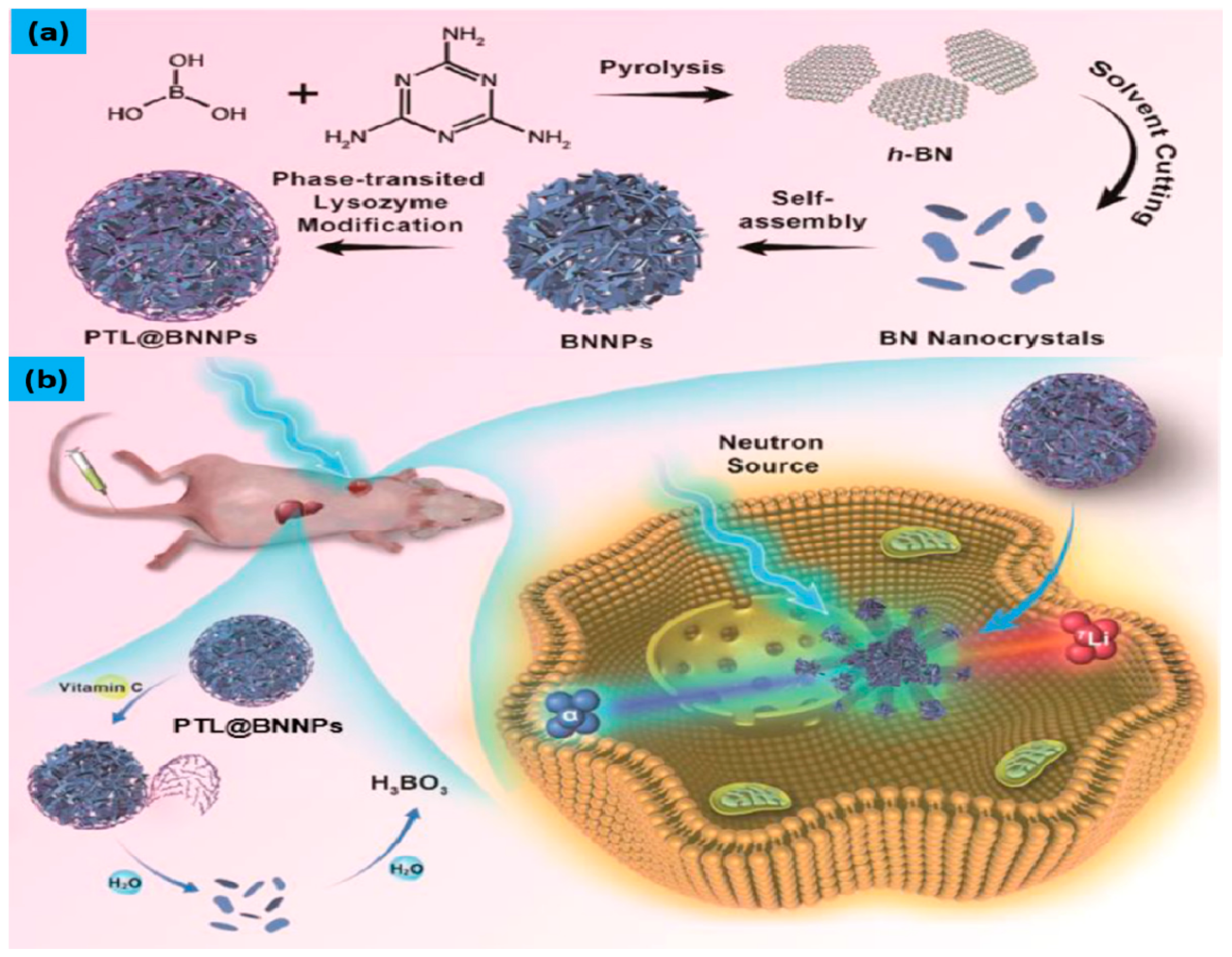Molecules 25 00828 g006