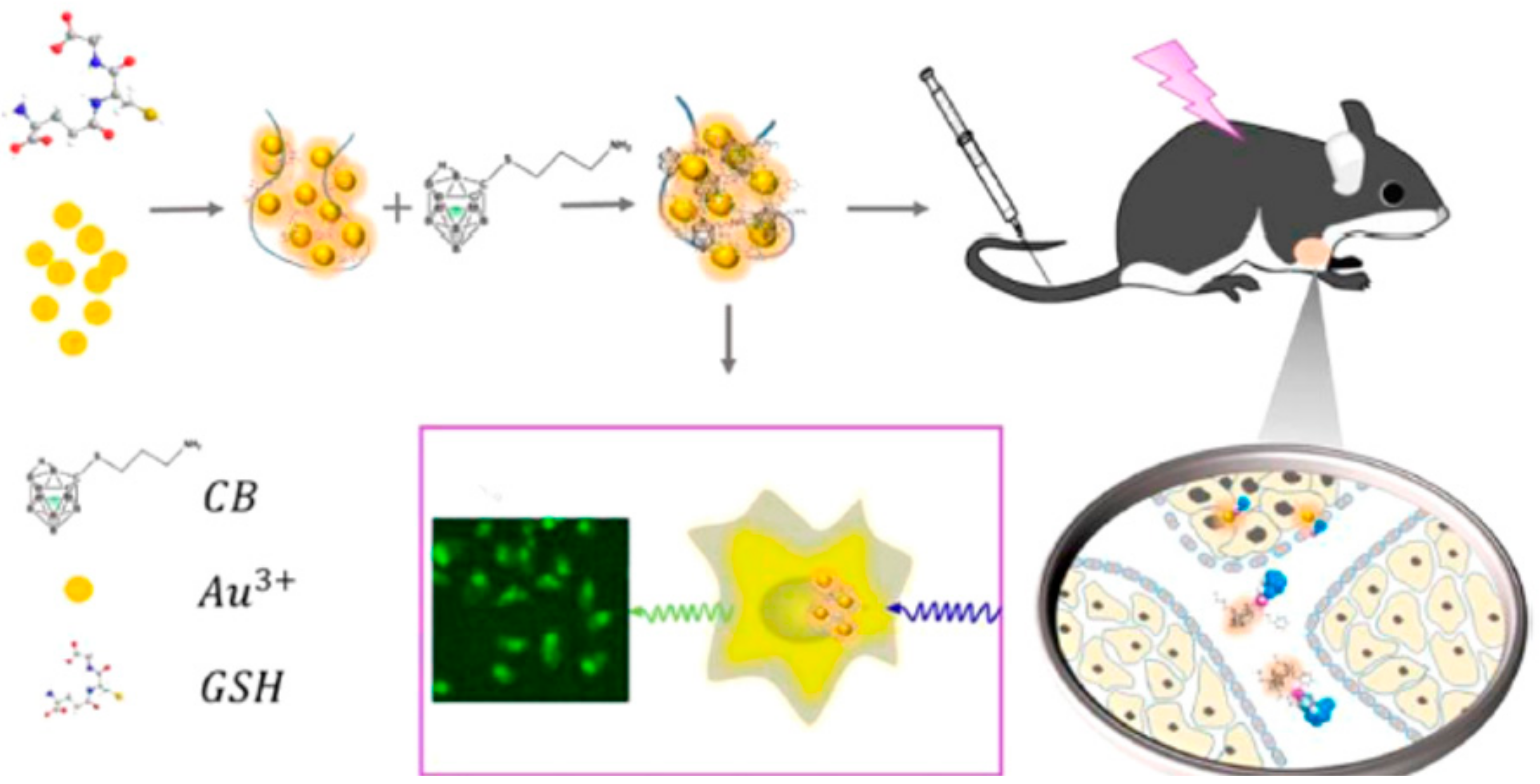 Molecules 25 00828 g008