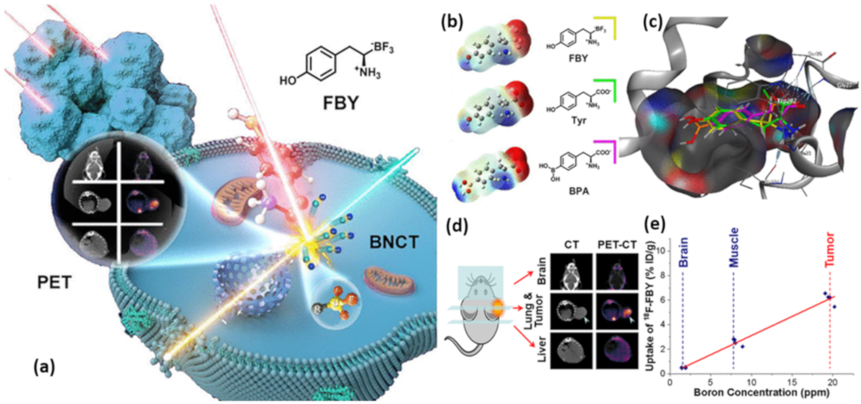 Molecules 25 00828 g009