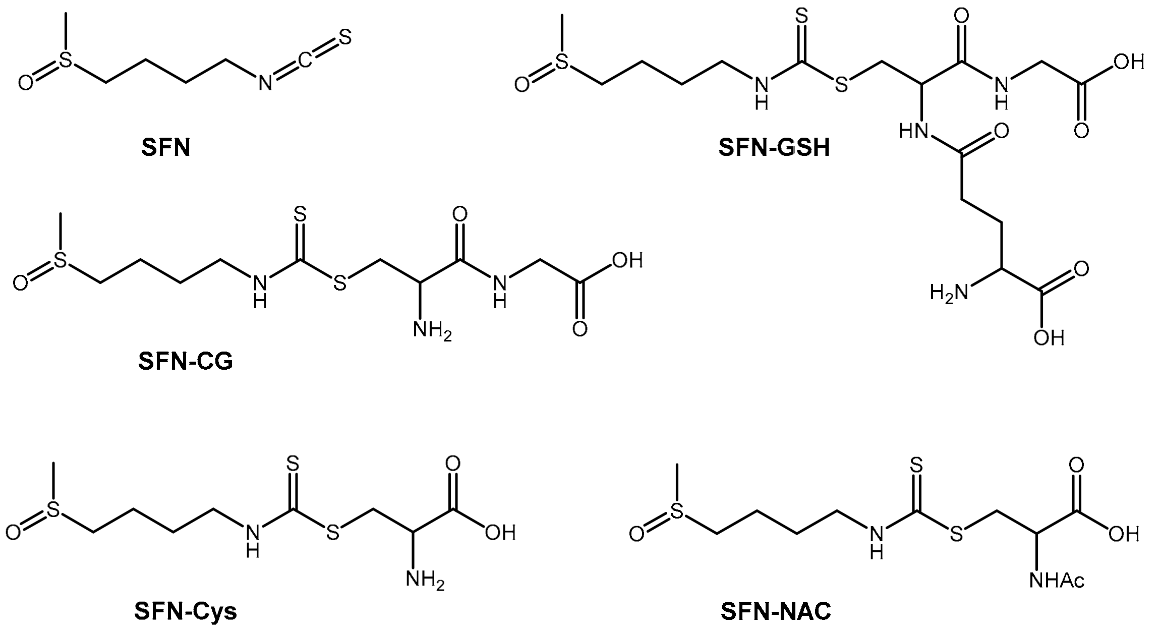 Molecules 25 00829 g001