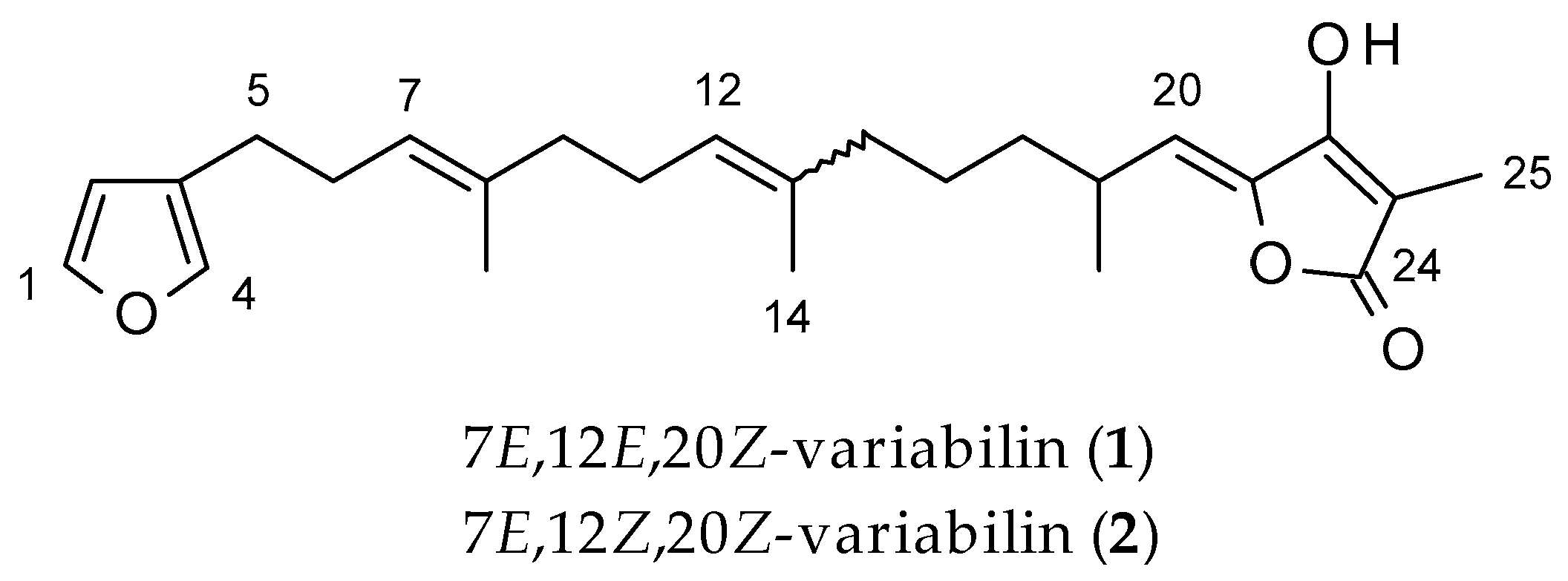 Molecules 25 00830 g001