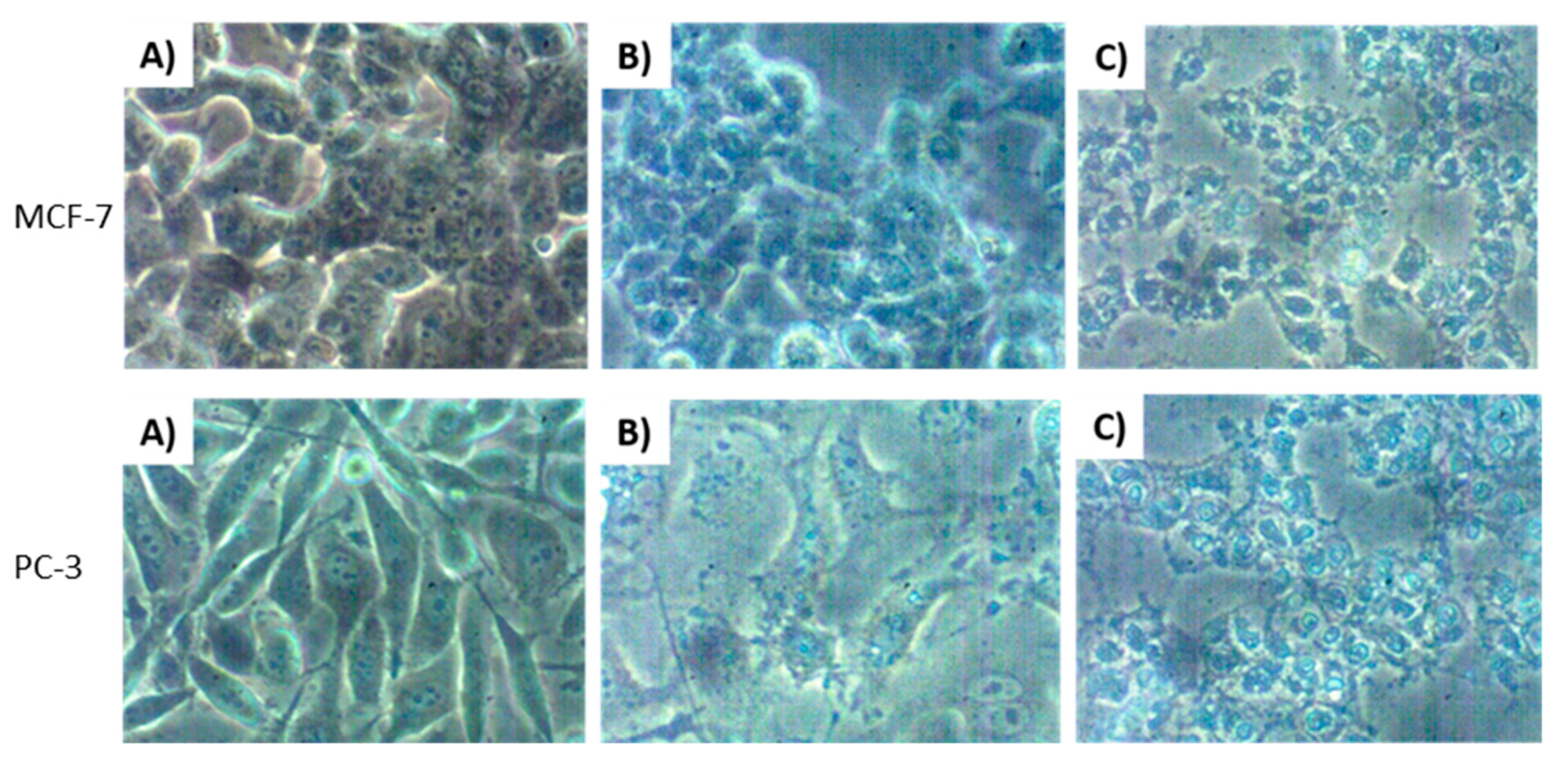 Molecules 25 00830 g006
