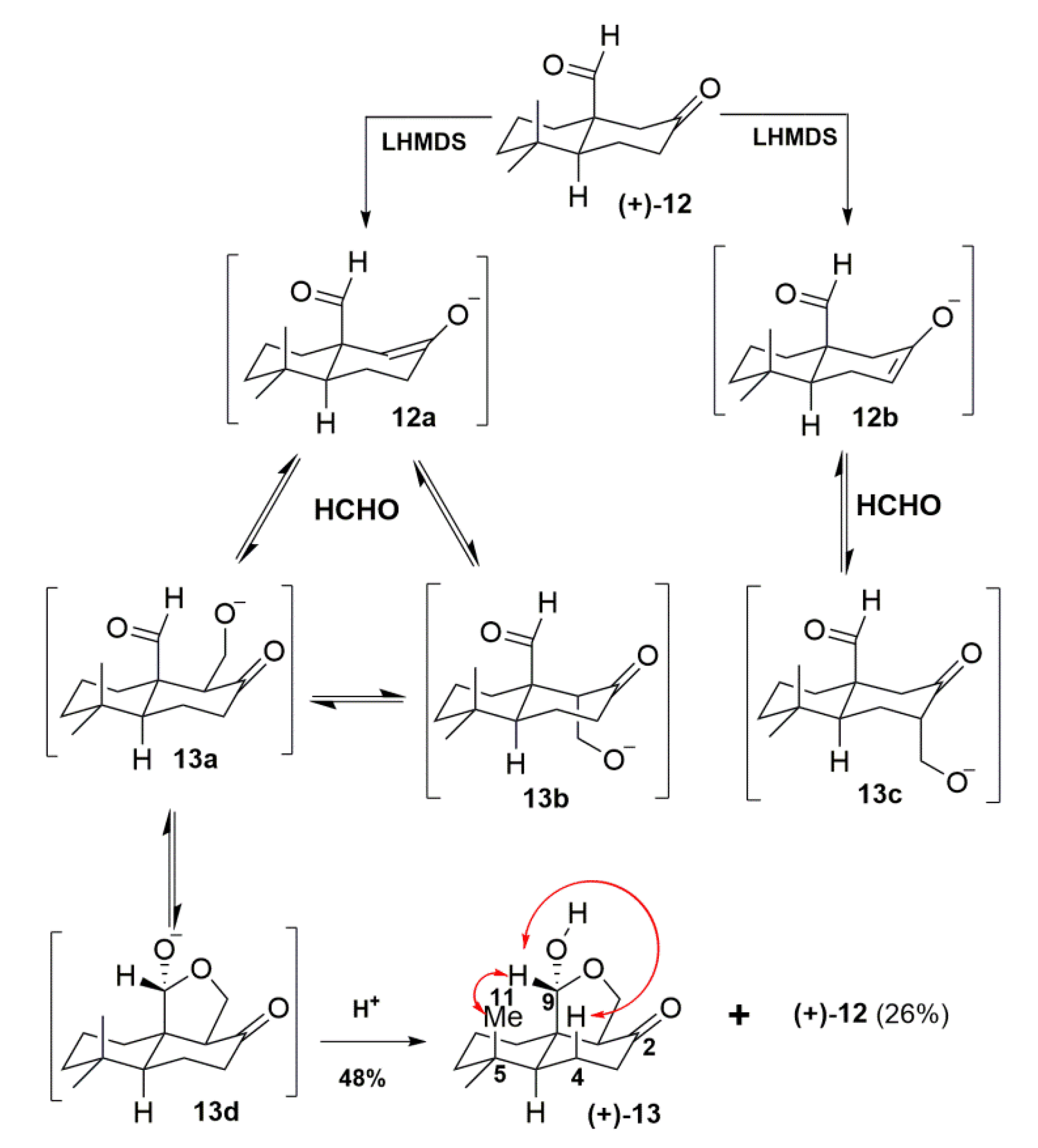 Molecules 25 00831 g005