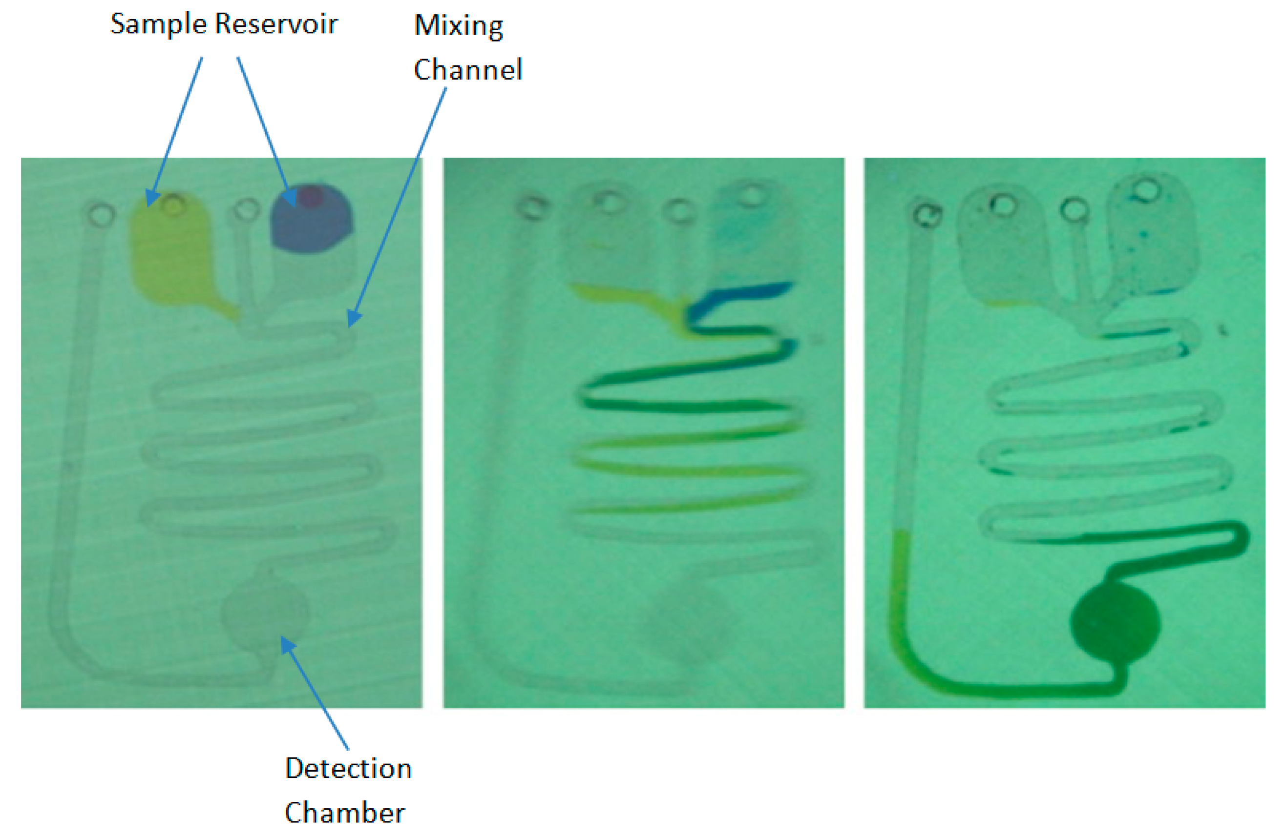 Molecules 25 00833 g001 Molecules 25 00833 g001