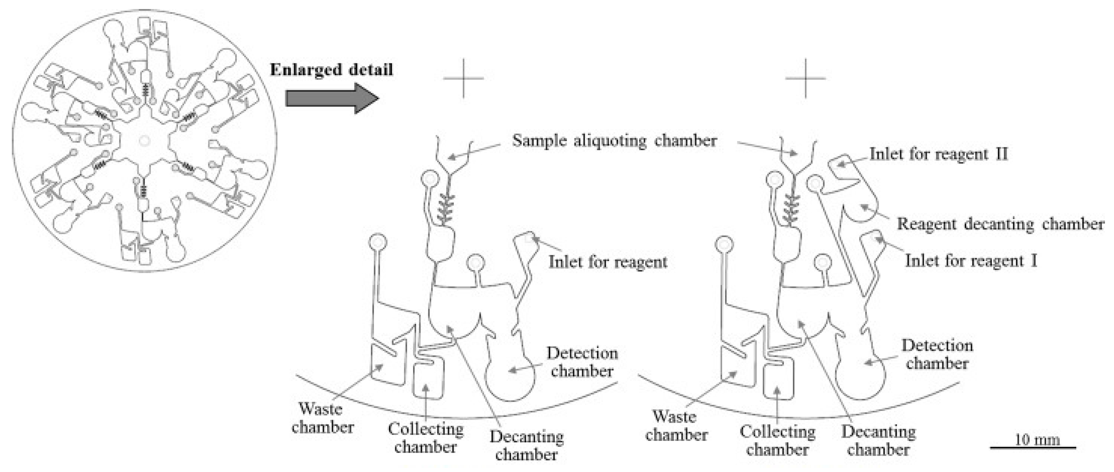 Molecules 25 00833 g002 Molecules 25 00833 g002