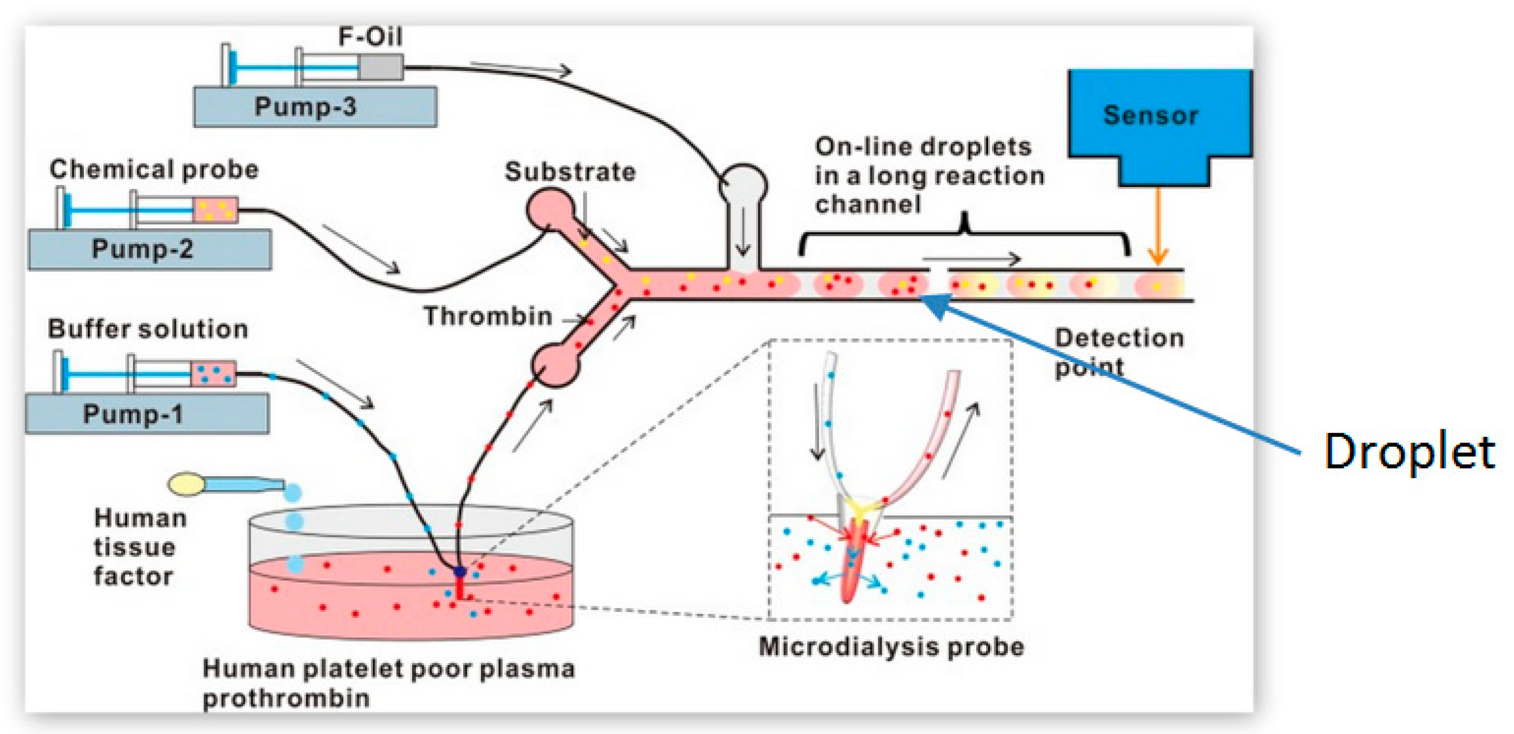 Molecules 25 00833 g003 Molecules 25 00833 g003